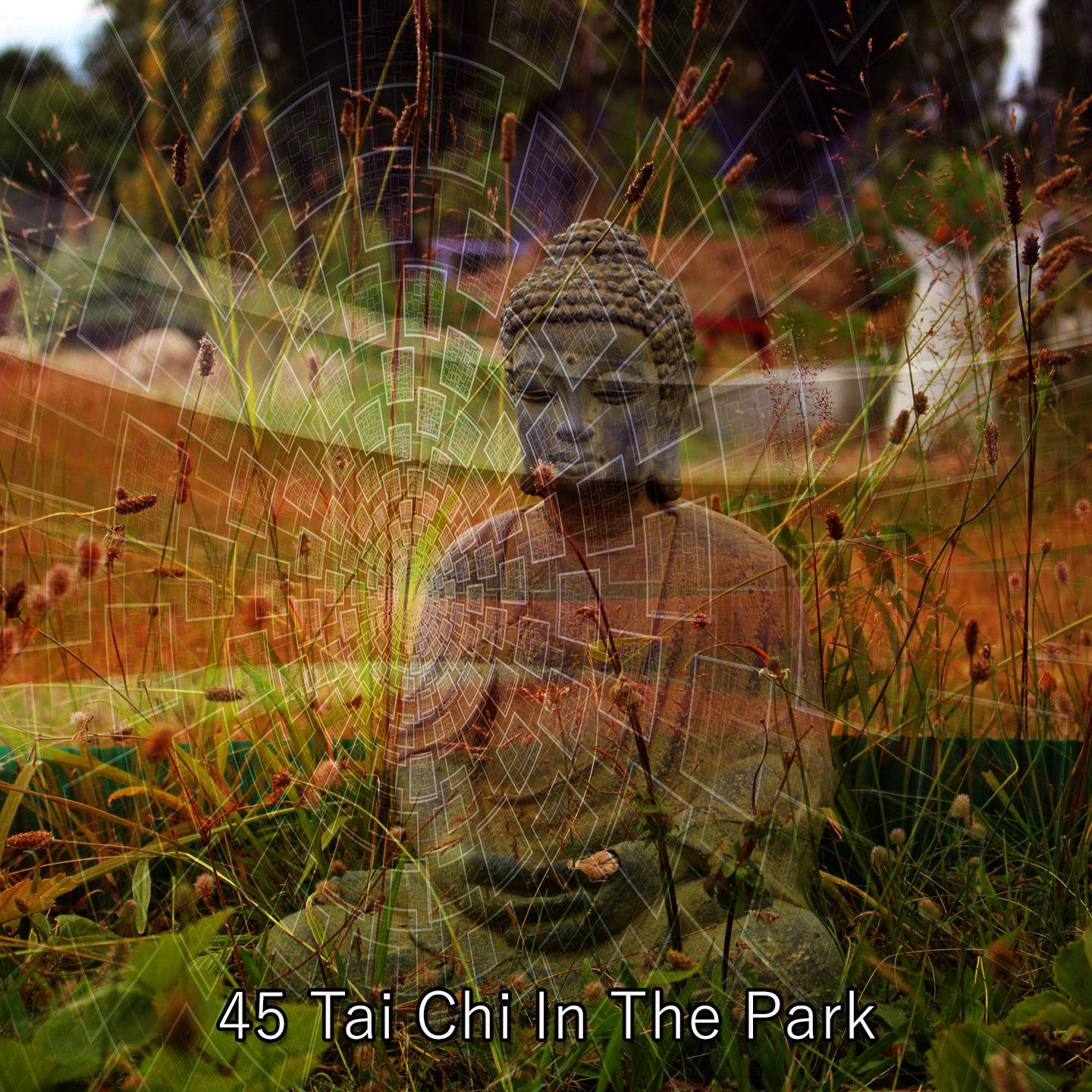Постер альбома 45 Tai Chi In The Park