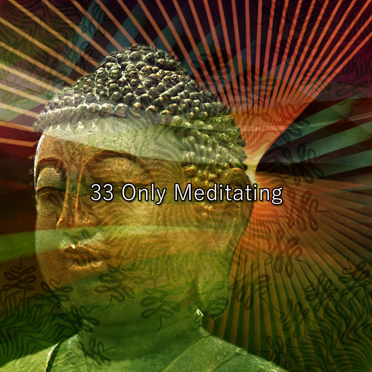 Постер альбома 33 Only Meditating