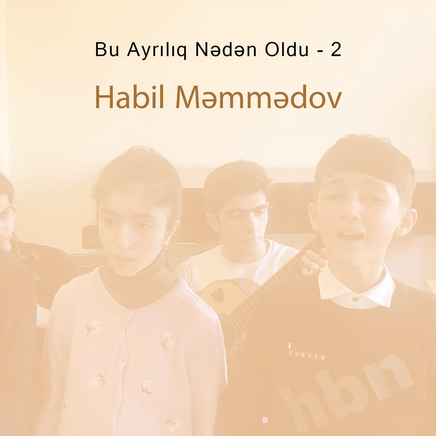 Постер альбома Bu Ayrılıq Nədən Oldu - 2