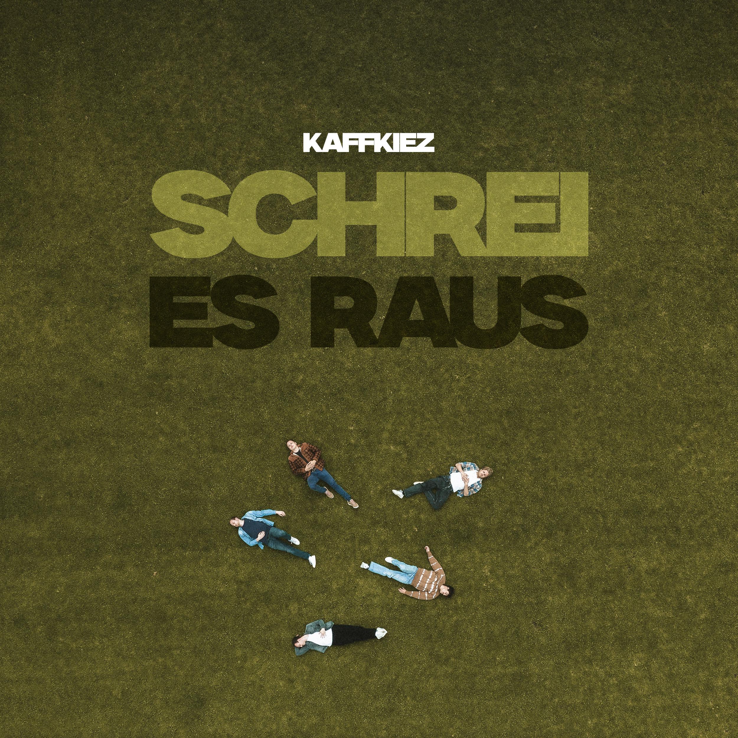 Постер альбома Schrei Es Raus
