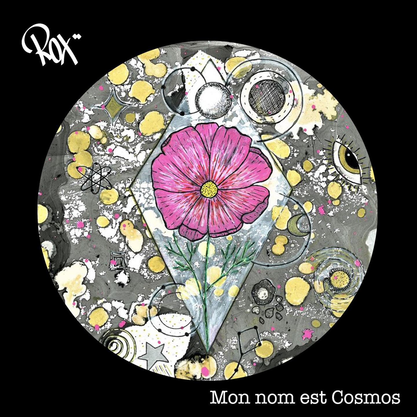 Постер альбома Mon nom est Cosmos