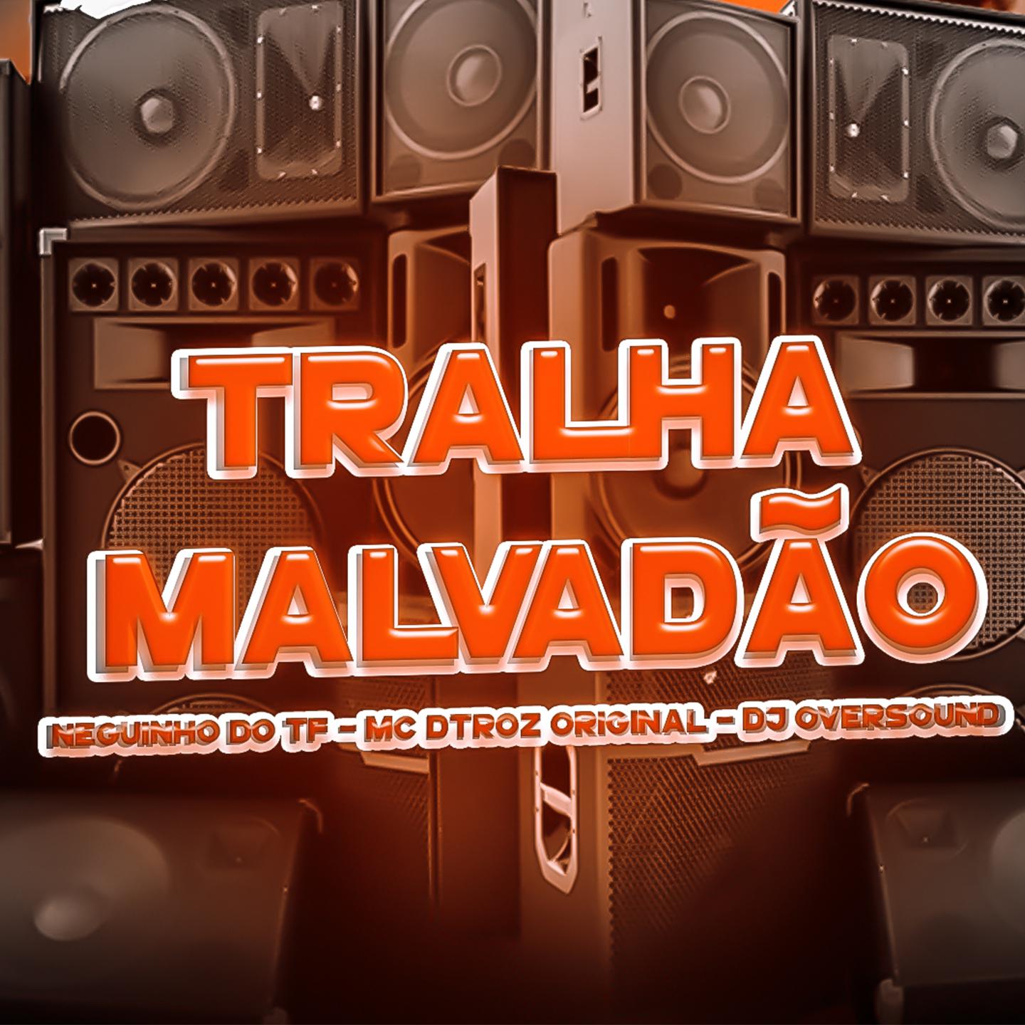 Постер альбома Tralha Malvadão