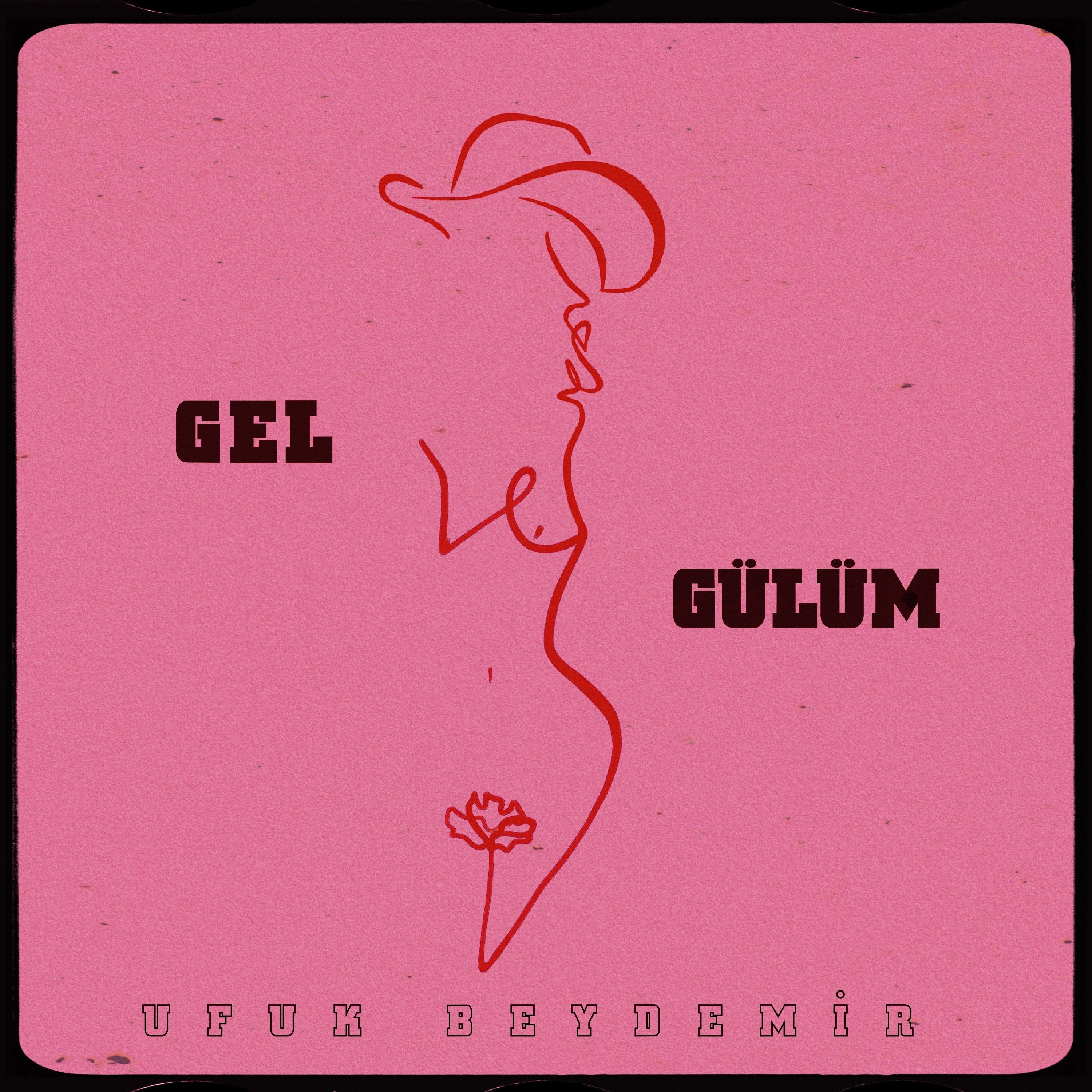 Постер альбома Gel Gülüm