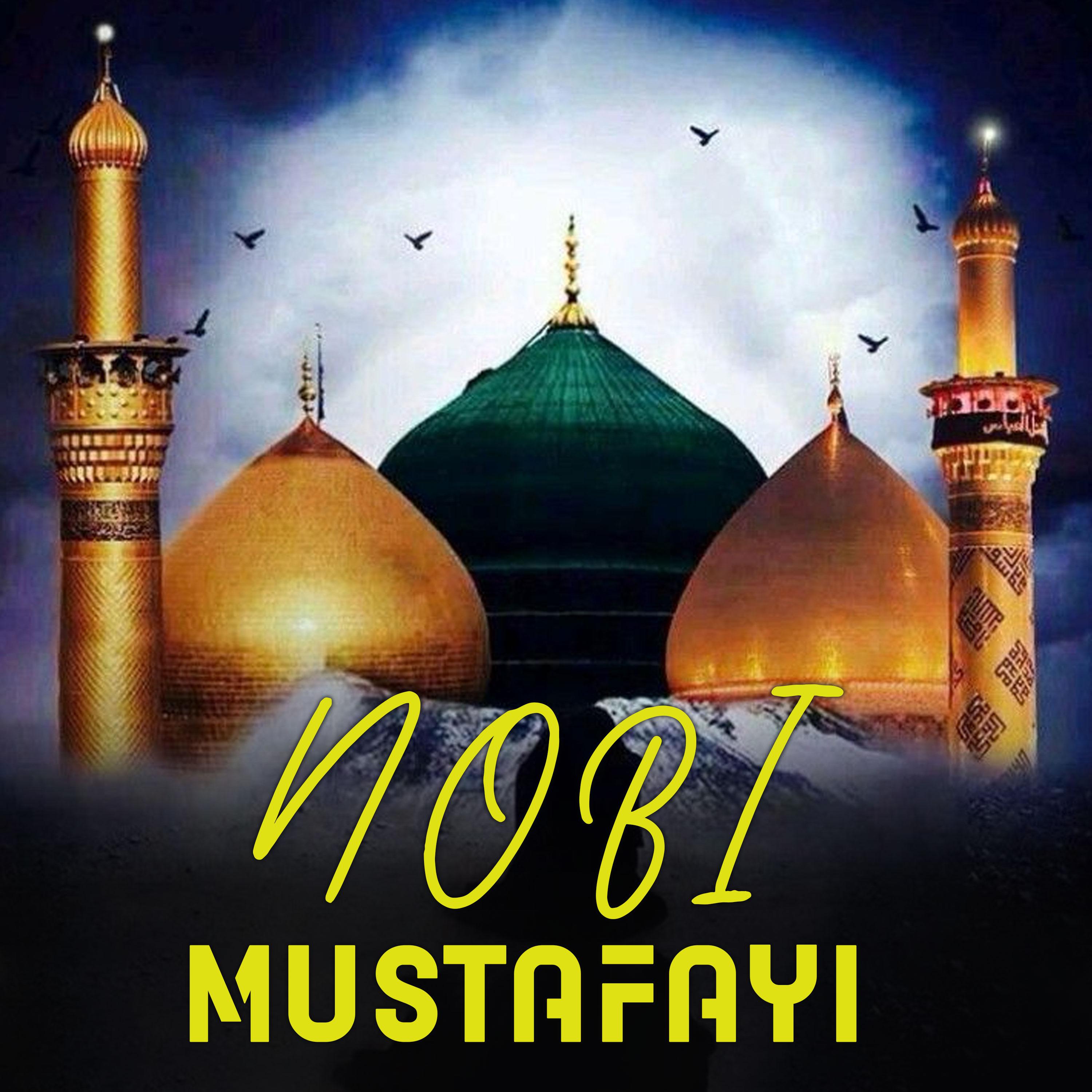Постер альбома nobi mustafayi