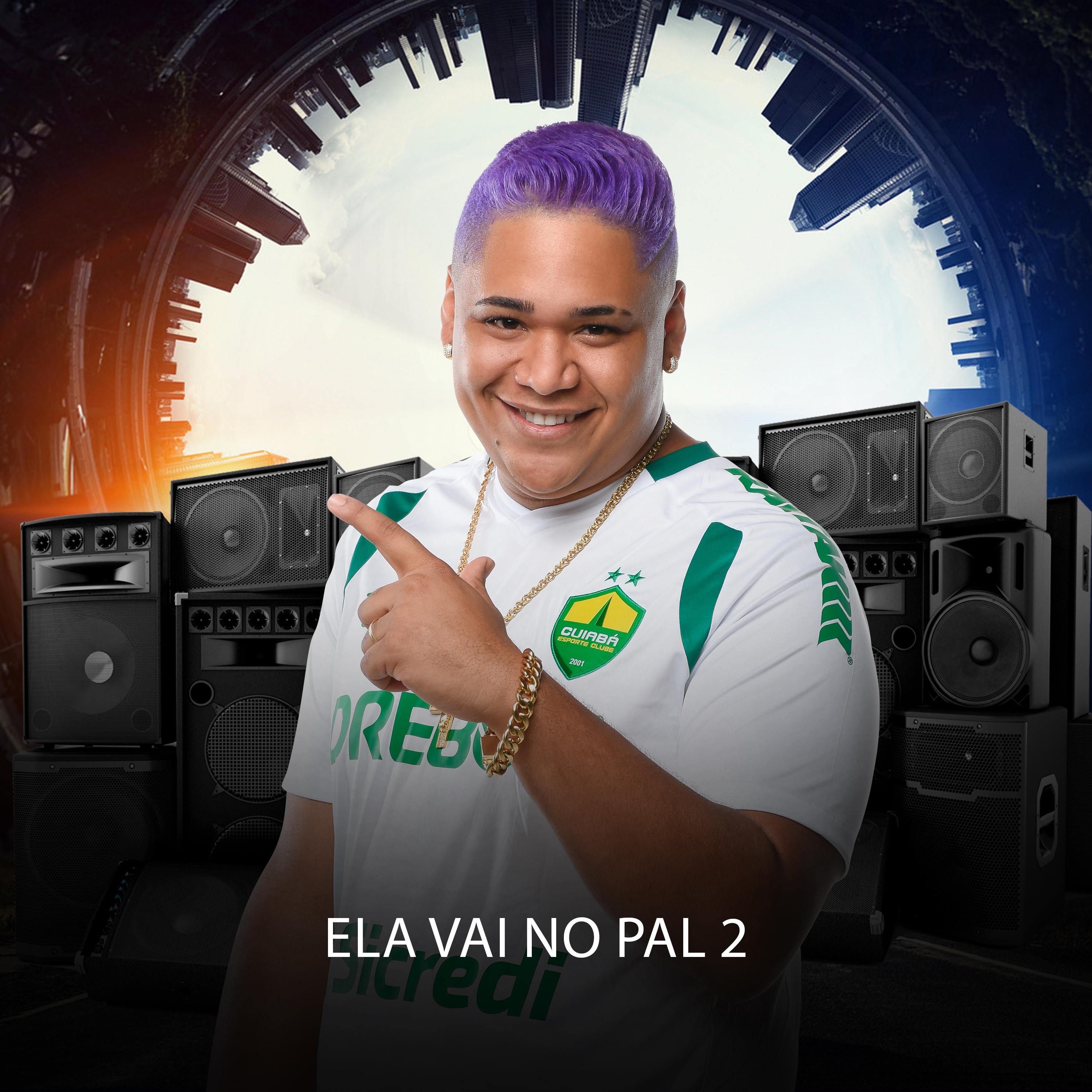 Постер альбома Ela Vai no Pal 2