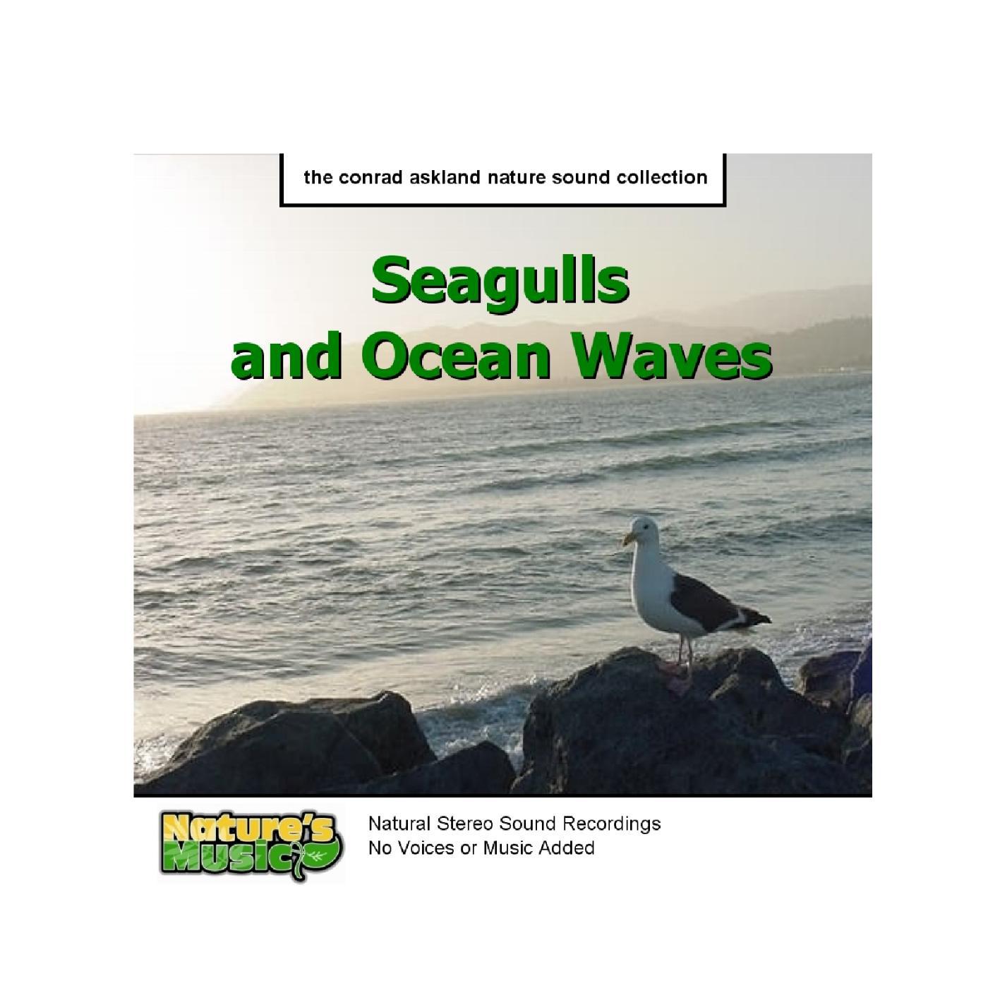 Постер альбома Seagulls and Ocean Waves