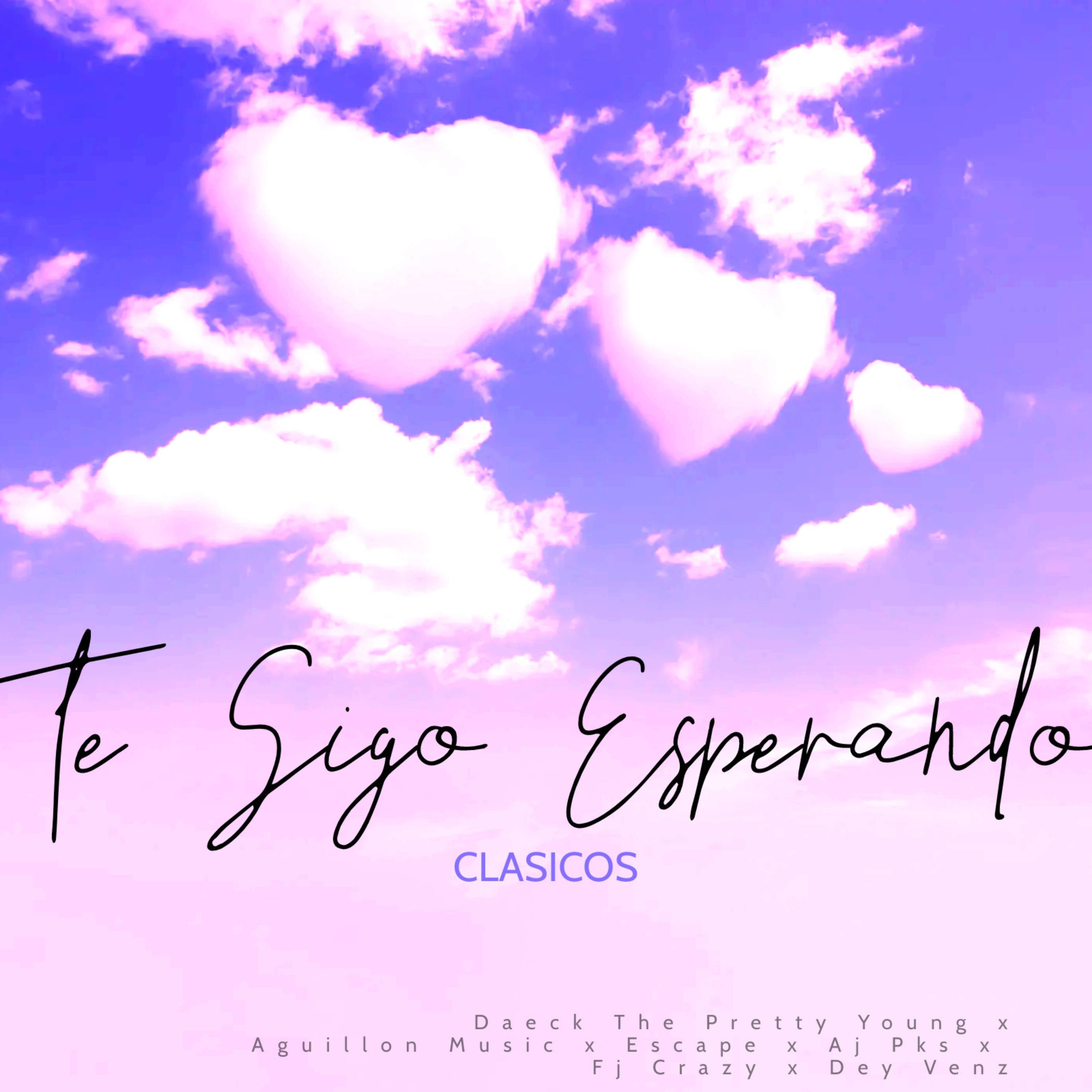Постер альбома Te Sigo Esperando (Clasicos)