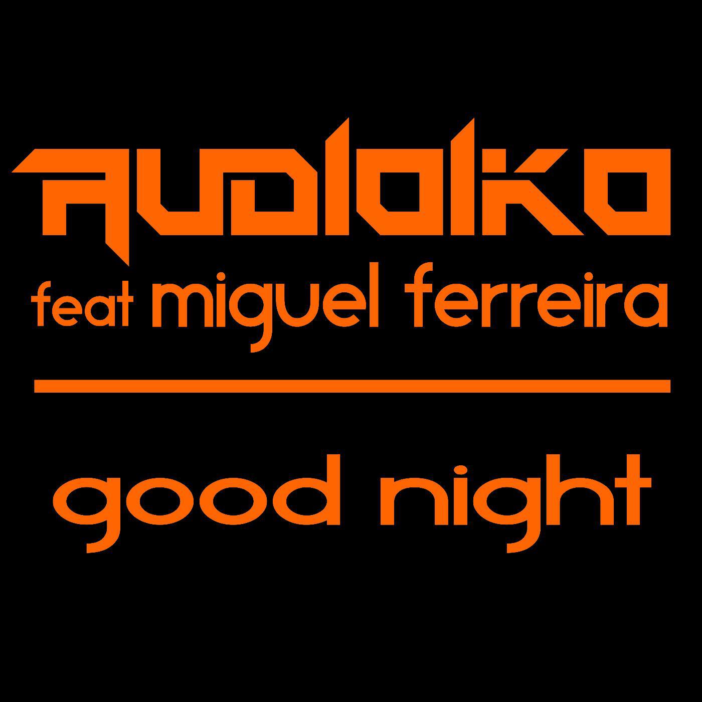 Audioiko - Good Night (feat. Miguel Ferreira)