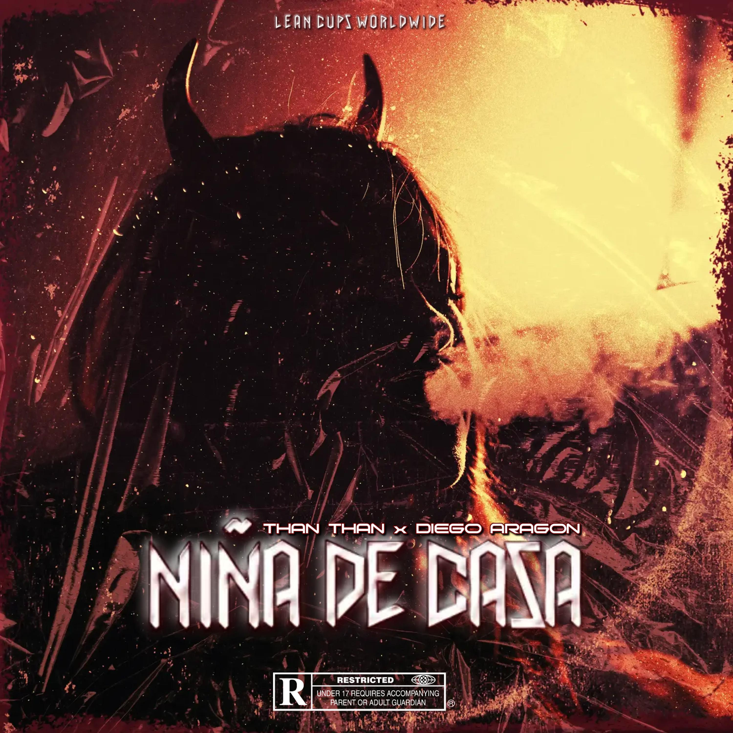 Постер альбома Niña de Casa