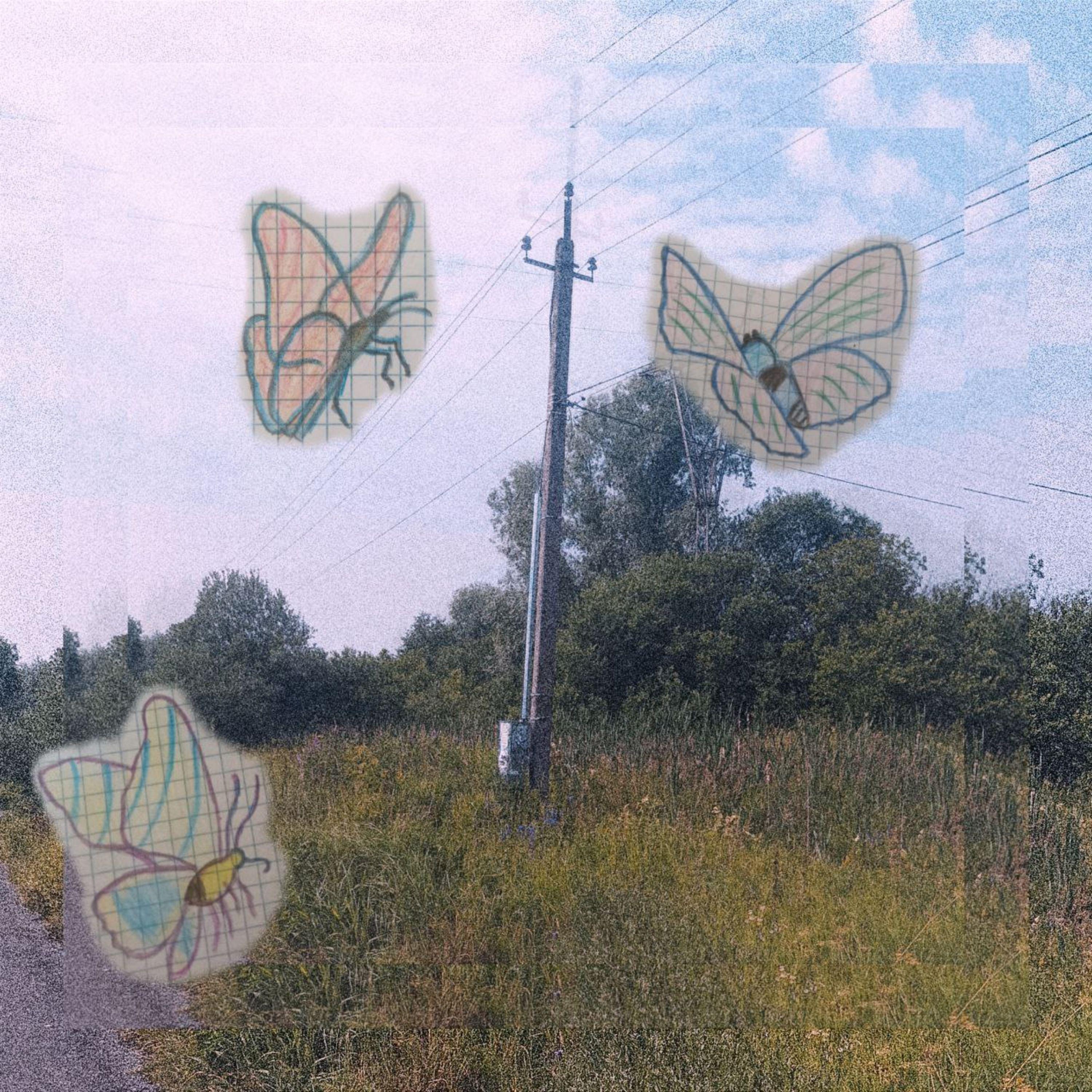 Постер альбома бабочки