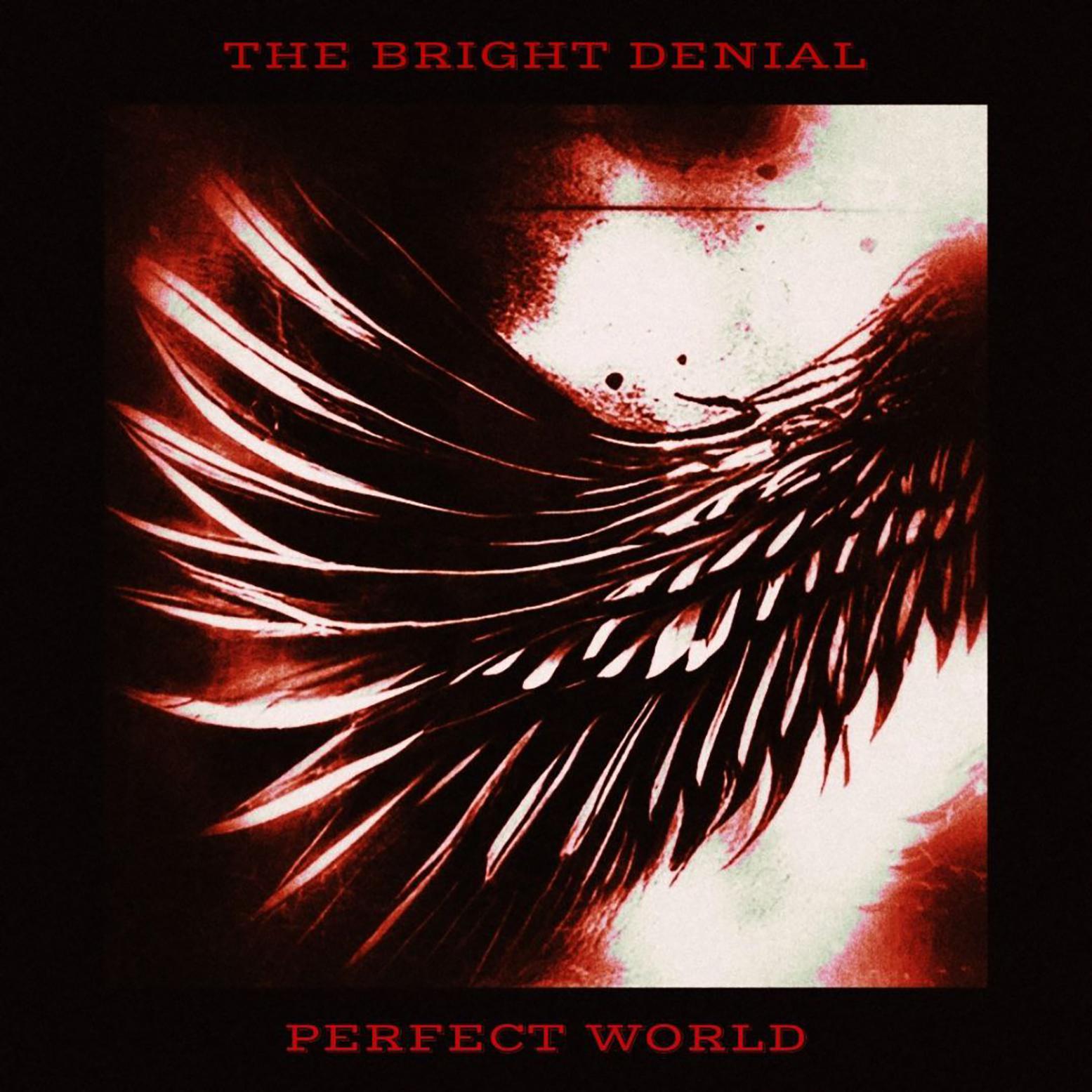 Постер альбома Perfect World