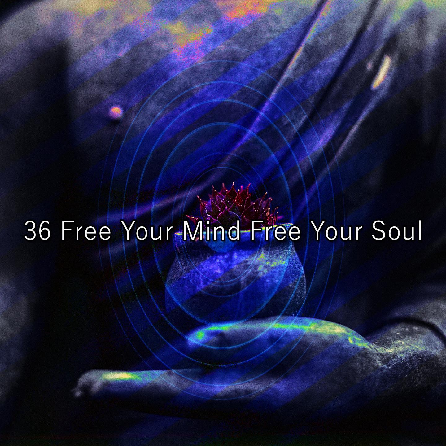 Постер альбома 36 Free Your Mind Free Your Soul