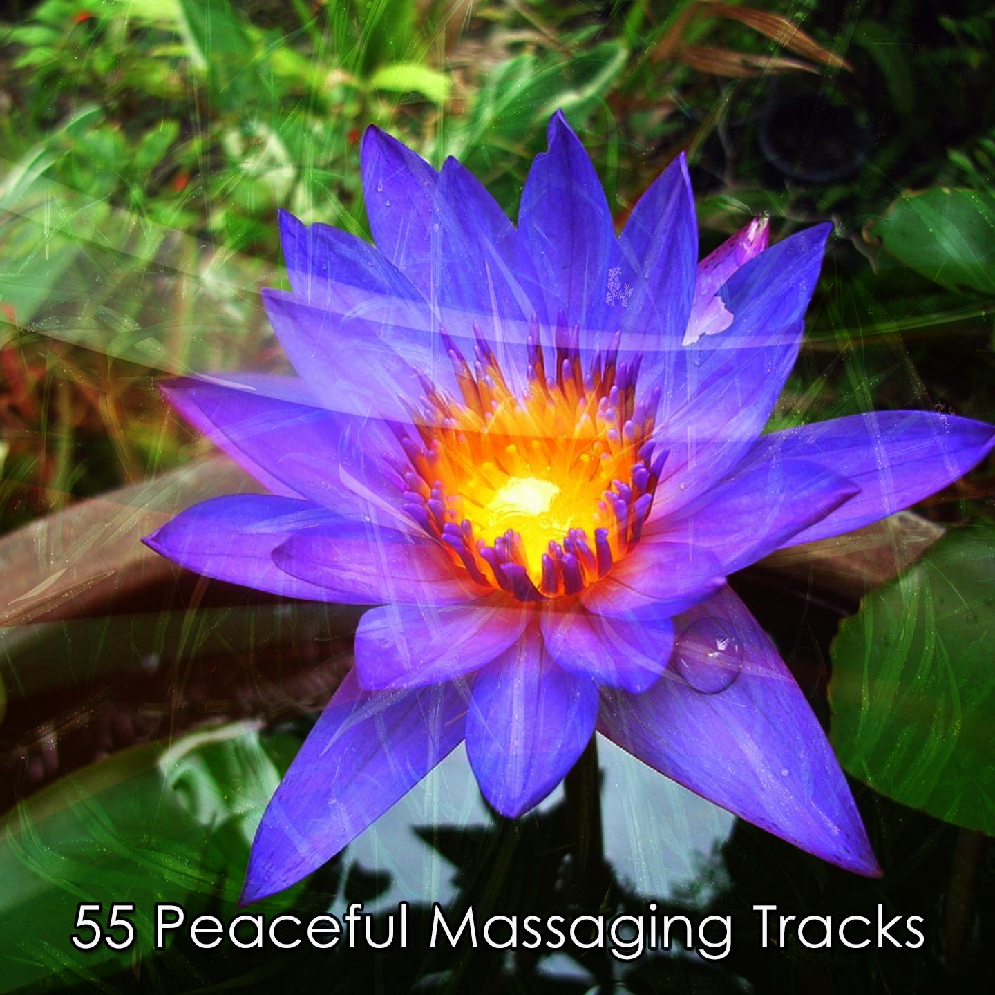 Постер альбома 55 Peaceful Massaging Tracks