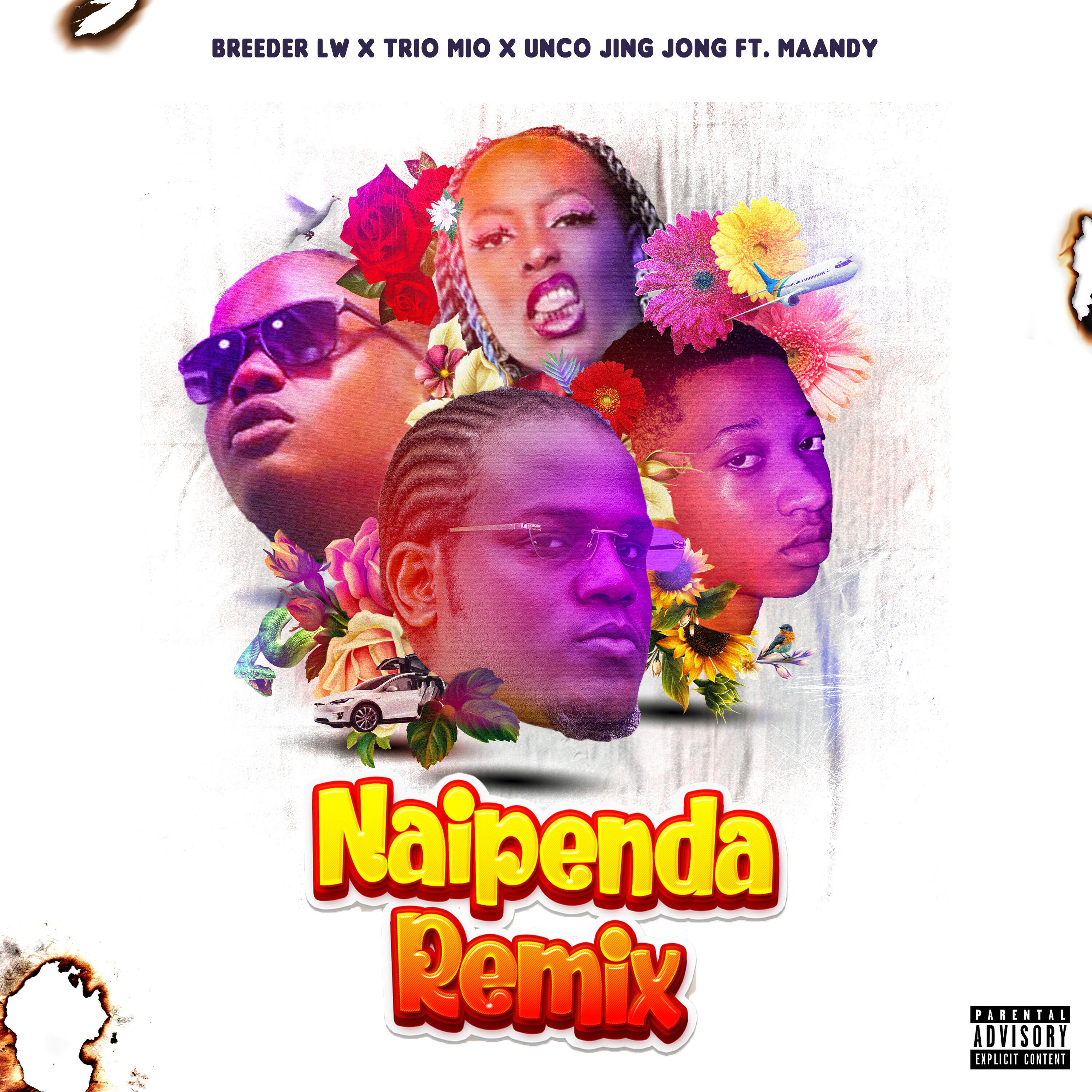 Постер альбома Naipenda