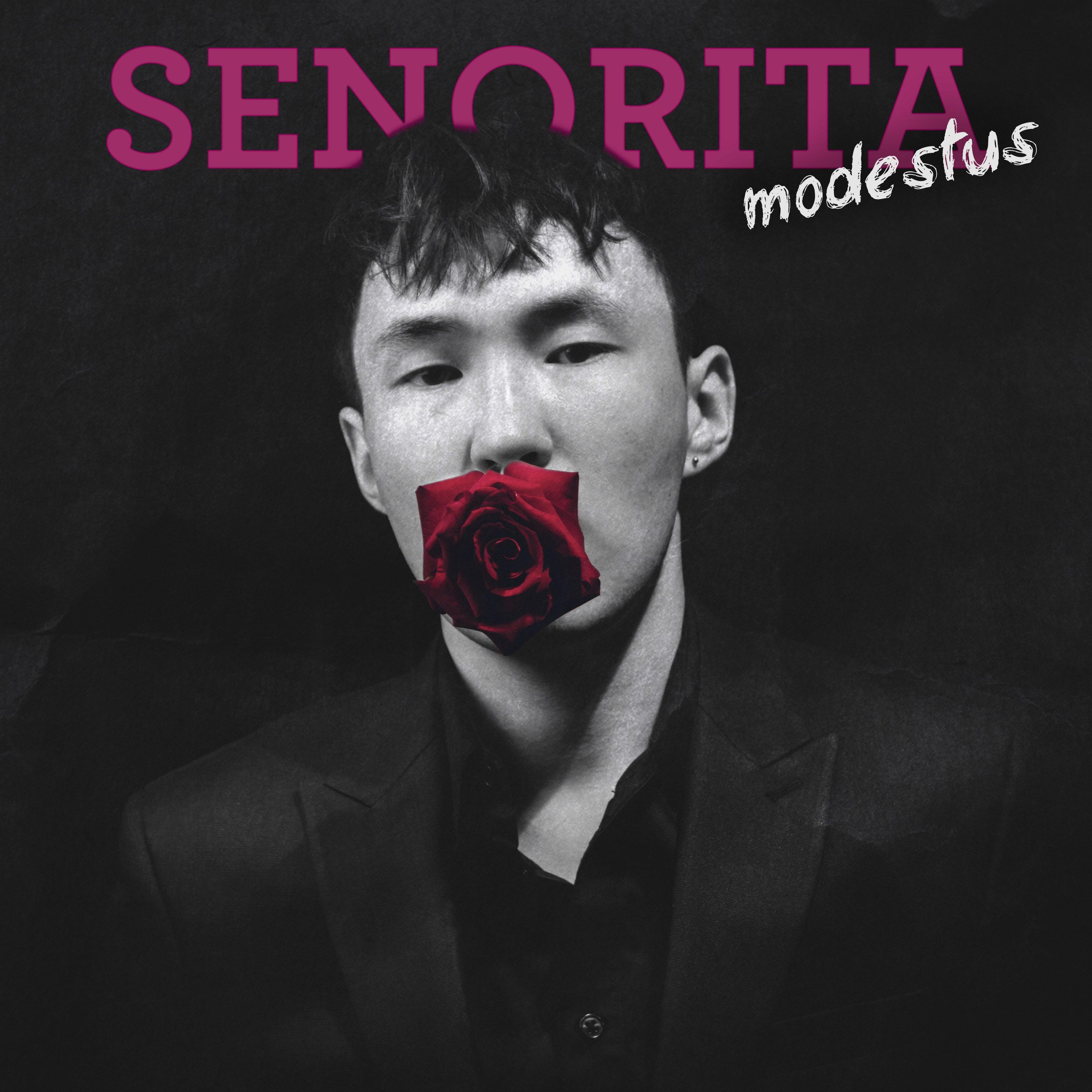 Постер альбома senorita