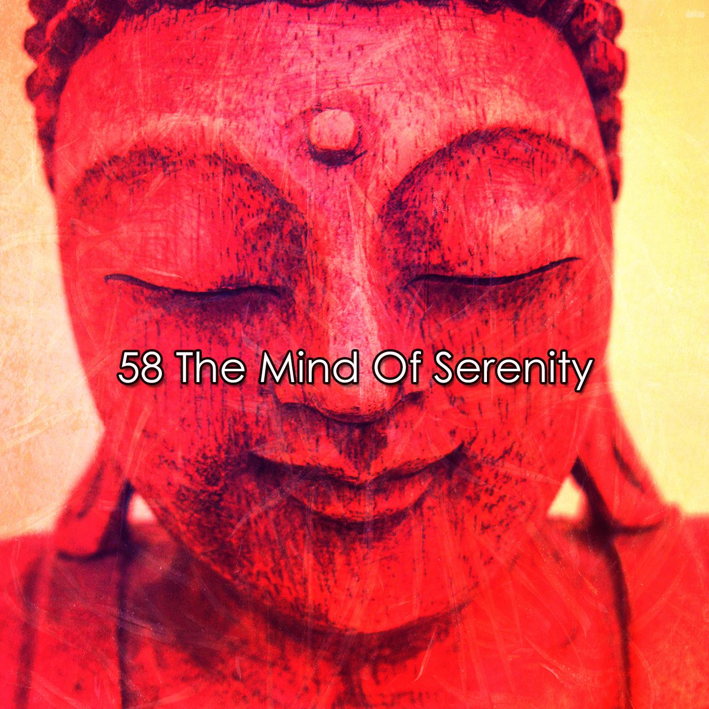 Постер альбома 58 The Mind Of Serenity