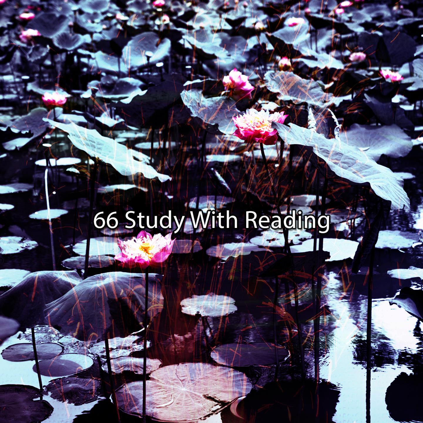 Постер альбома 66 Study With Reading