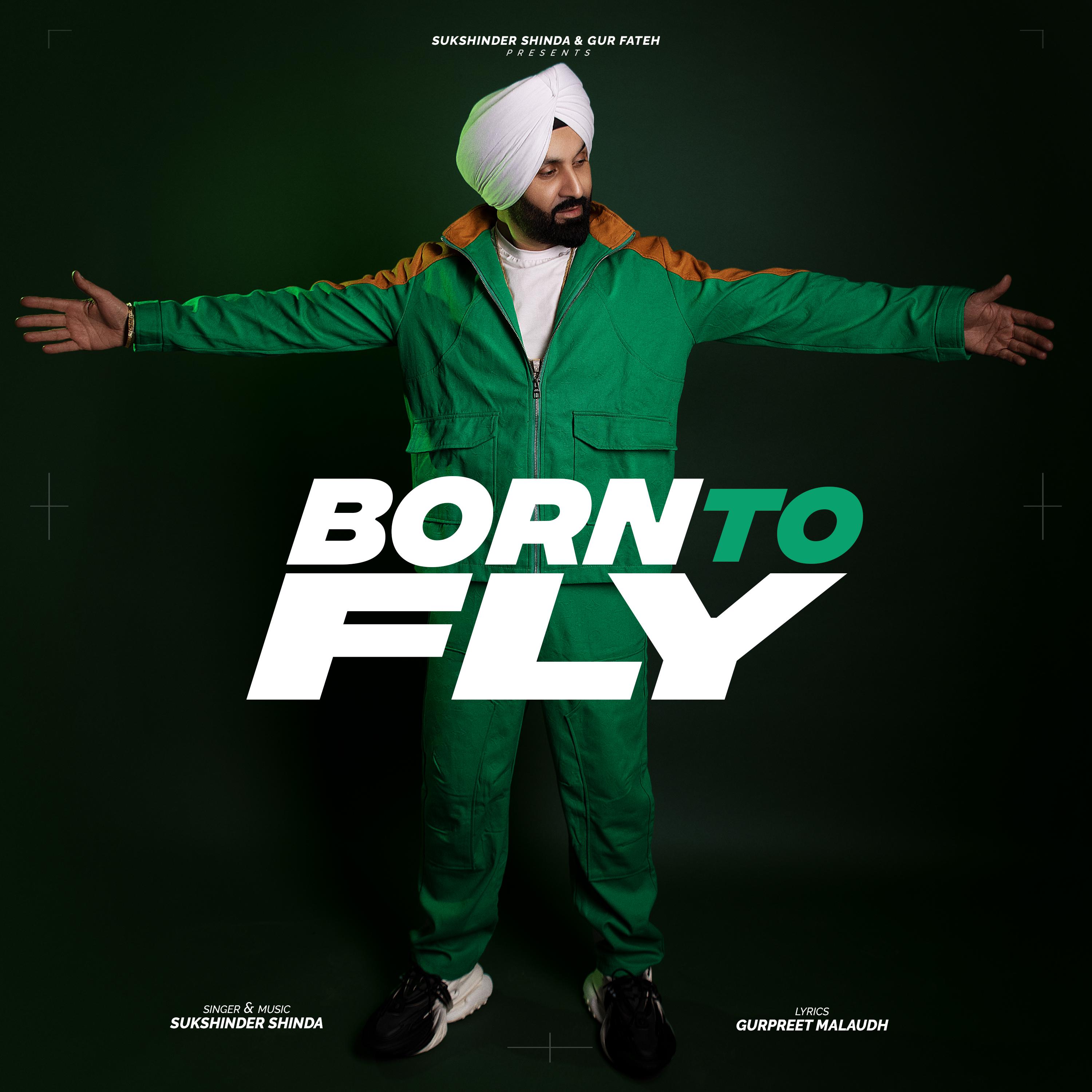 Постер альбома Born To Fly