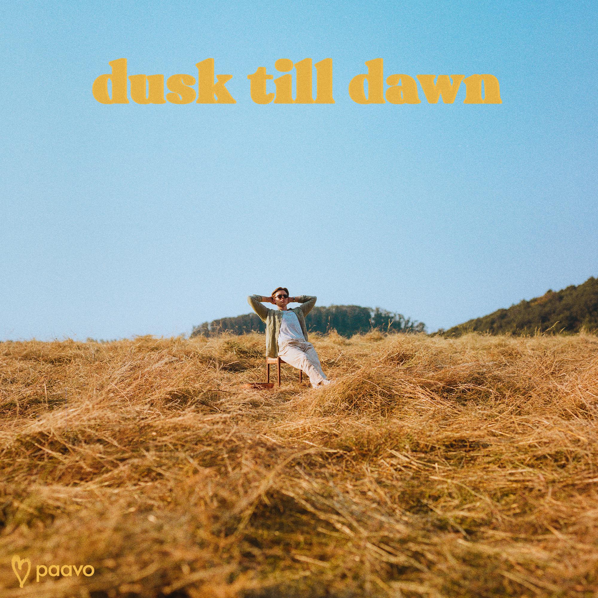 Постер альбома Dusk Till Dawn