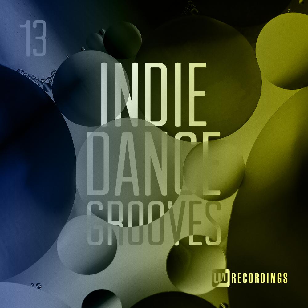 Постер альбома Indie Dance Grooves, Vol. 13