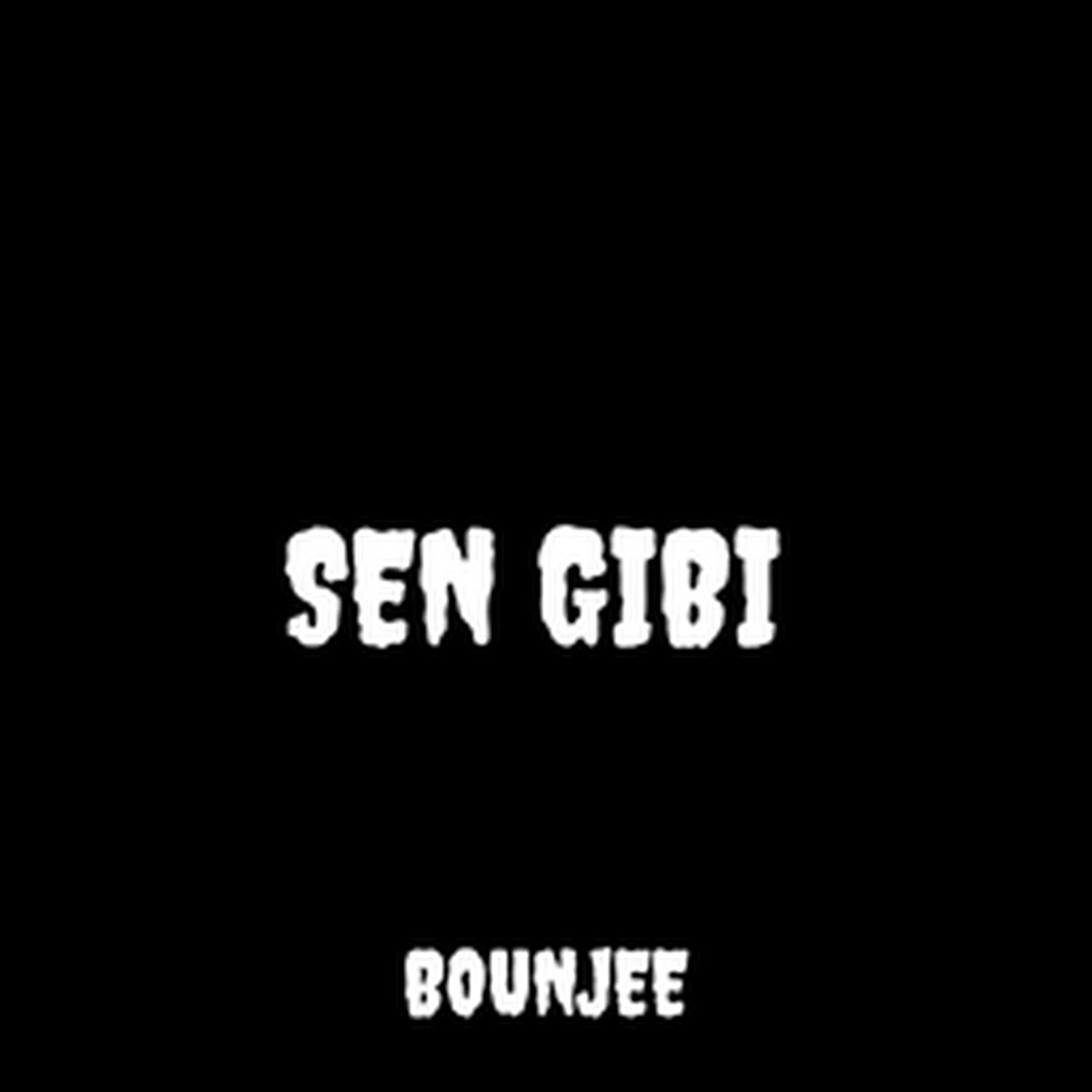 Постер альбома Sen Gibi