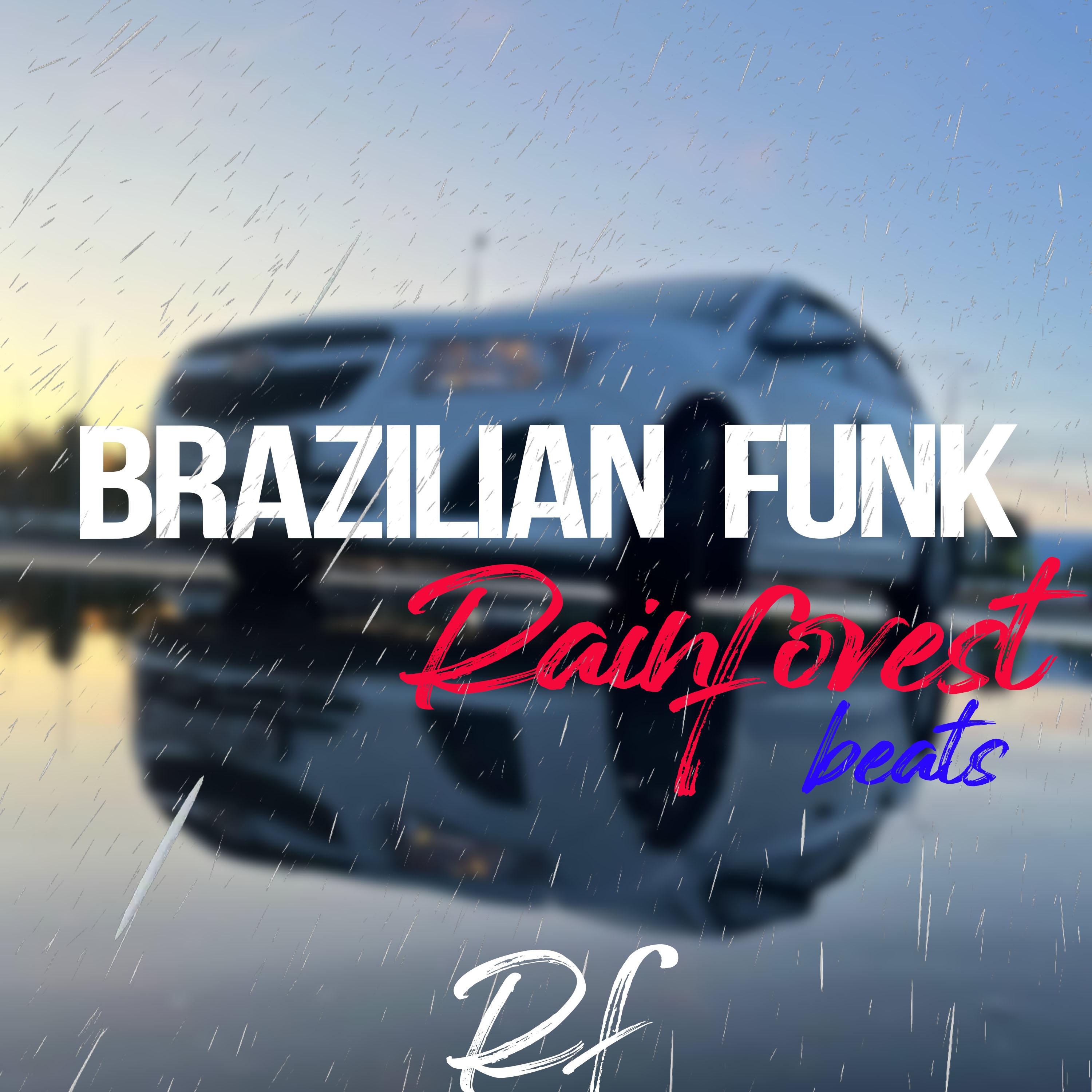 Постер альбома Brazilian Funk