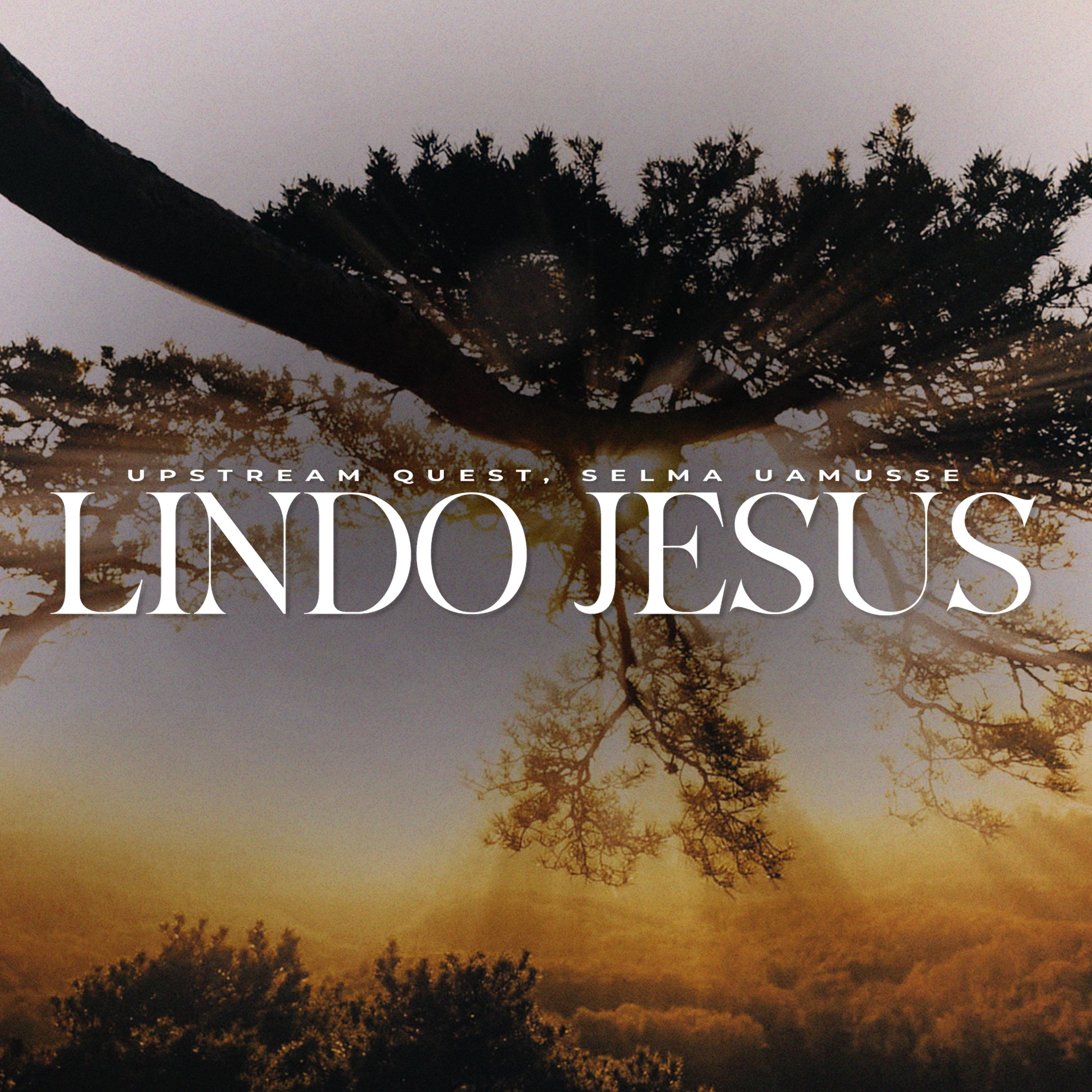 Постер альбома Lindo Jesus