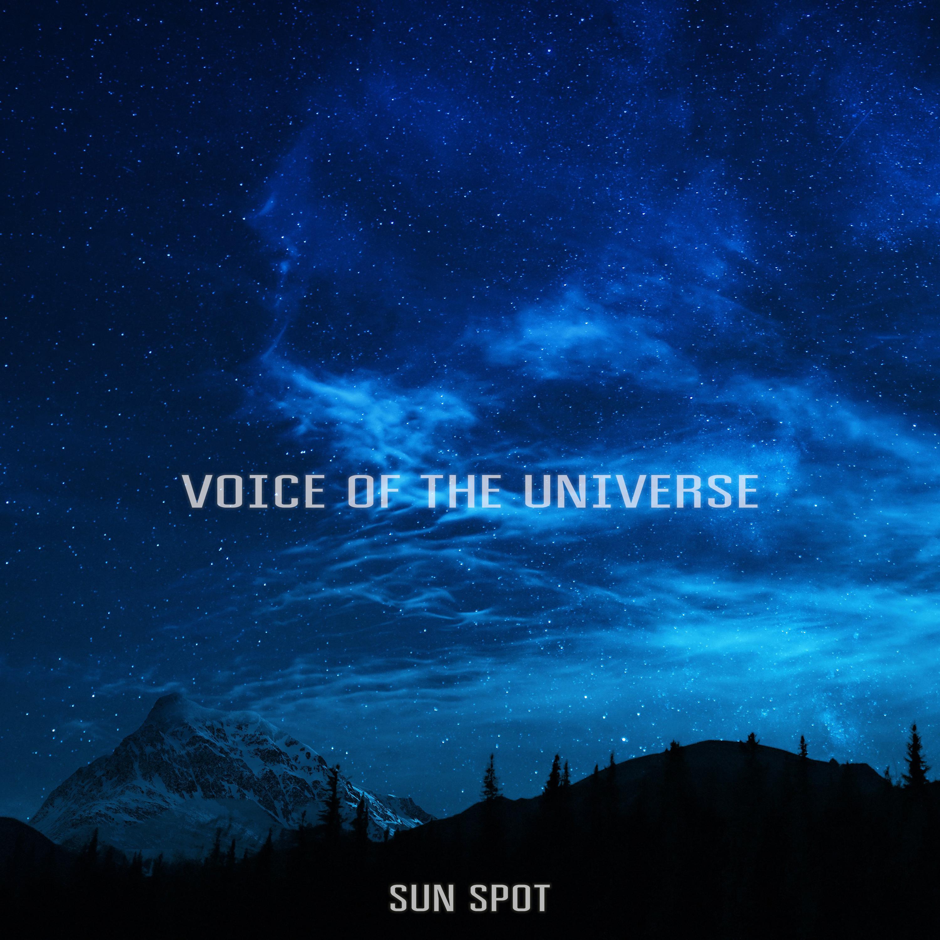 Постер альбома Voice Of The Universe