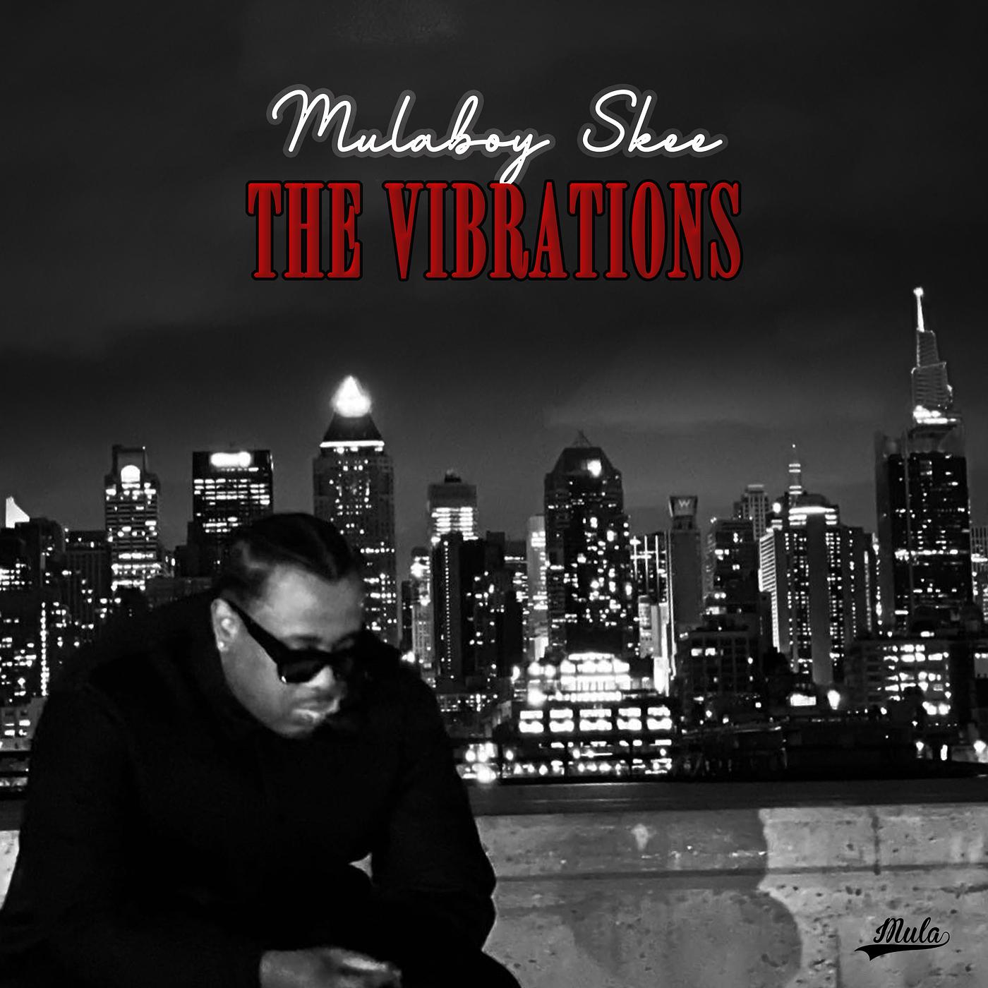 Постер альбома The Vibrations