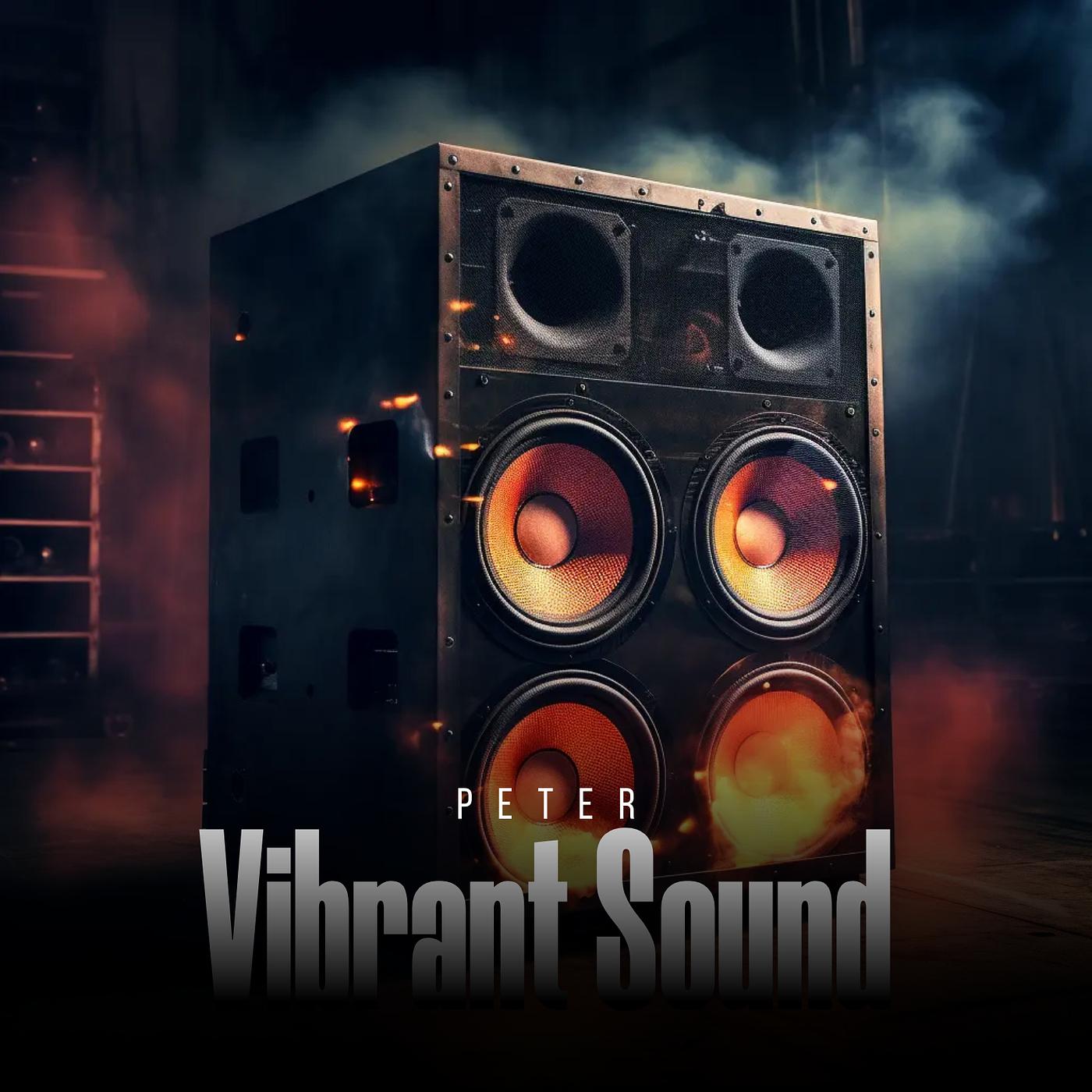 Постер альбома Vibrant Sound