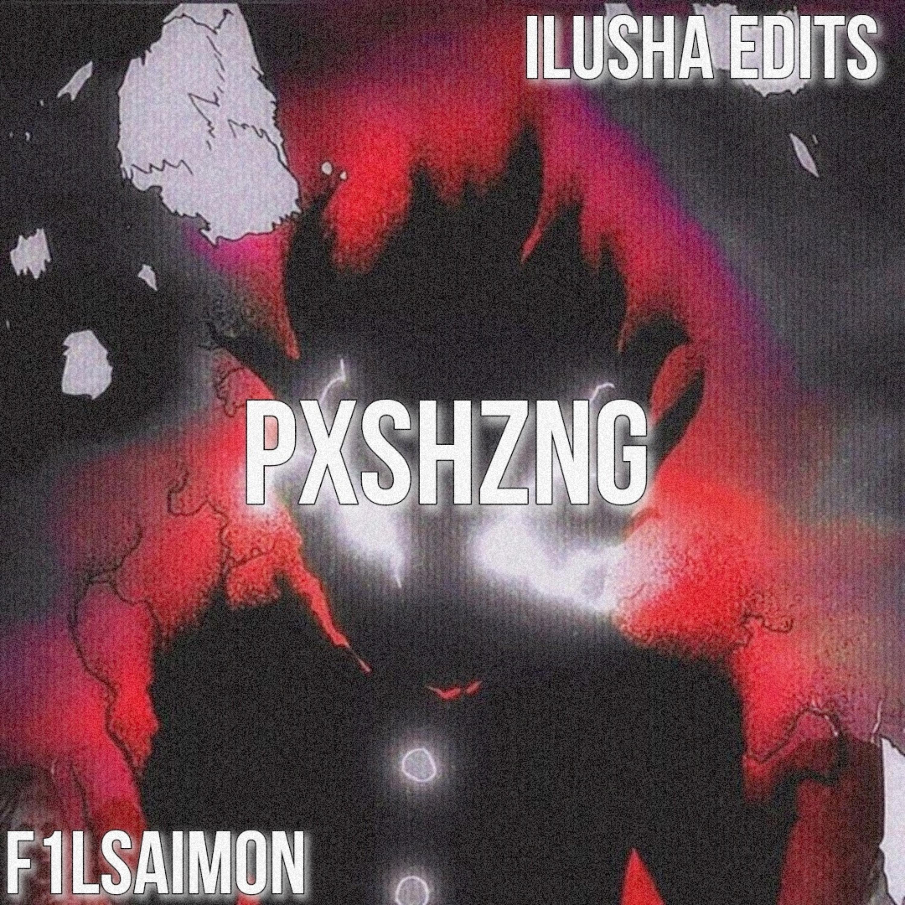 Постер альбома PXSHZNG