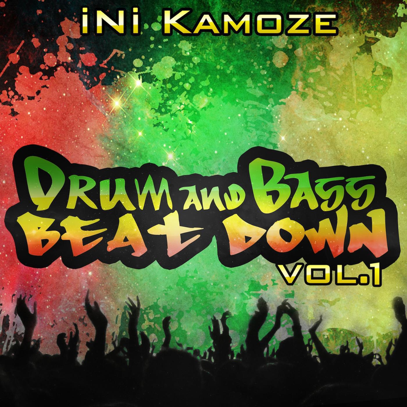 INI KAMOZE - Call the Police (DnB Mix)