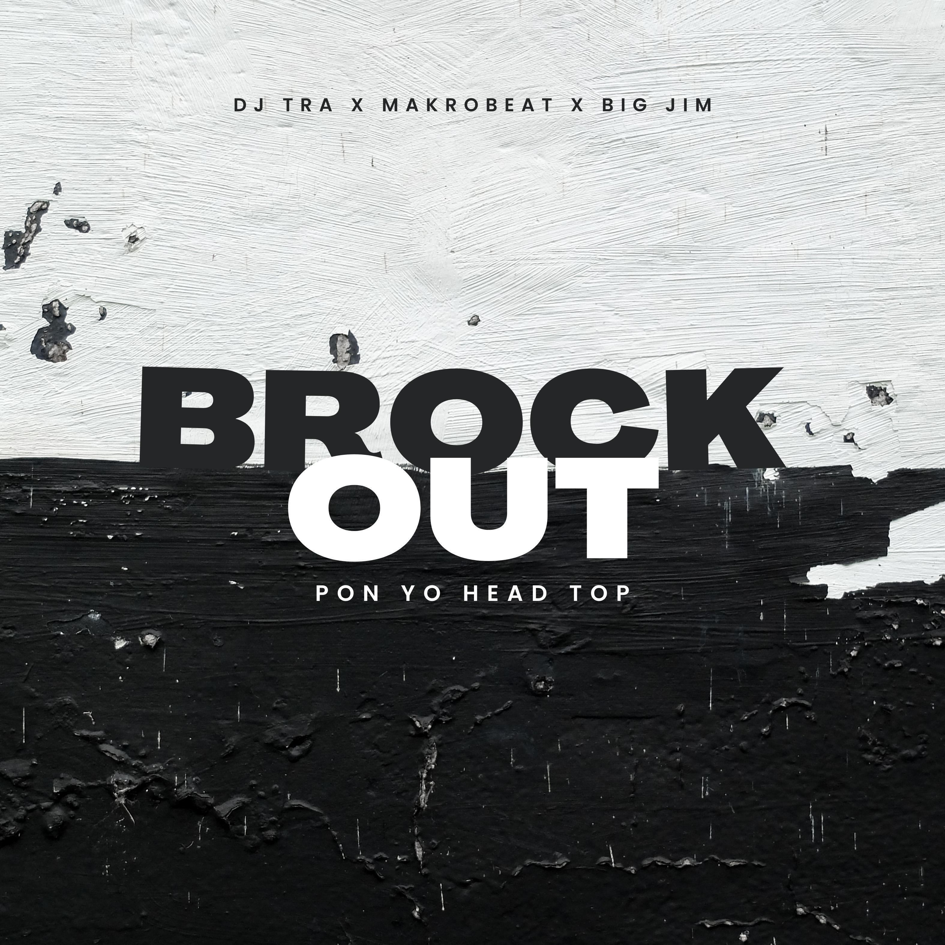 Постер альбома Brock Out (Pon Yo Head Top)