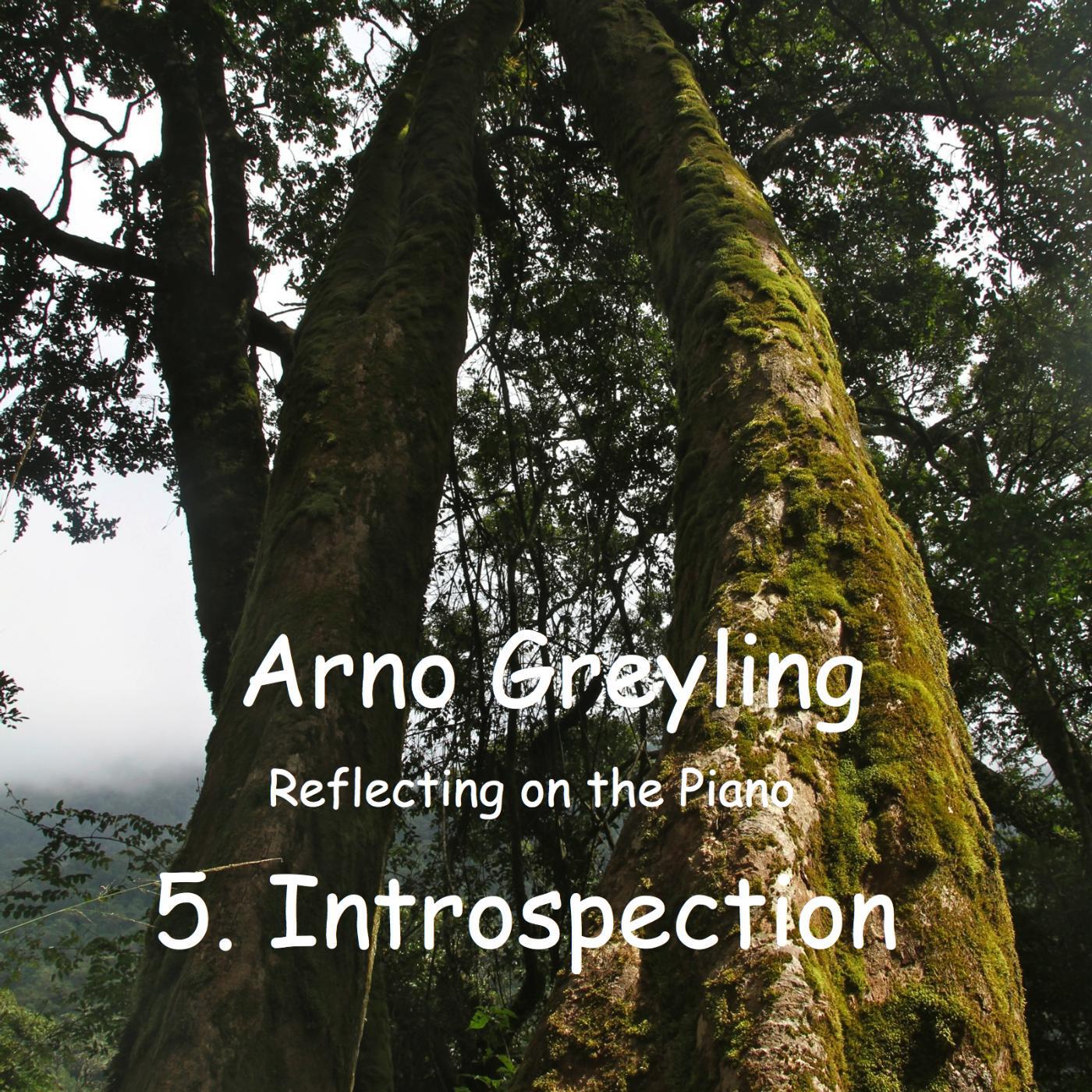 Arno Greyling - Long Long Ago