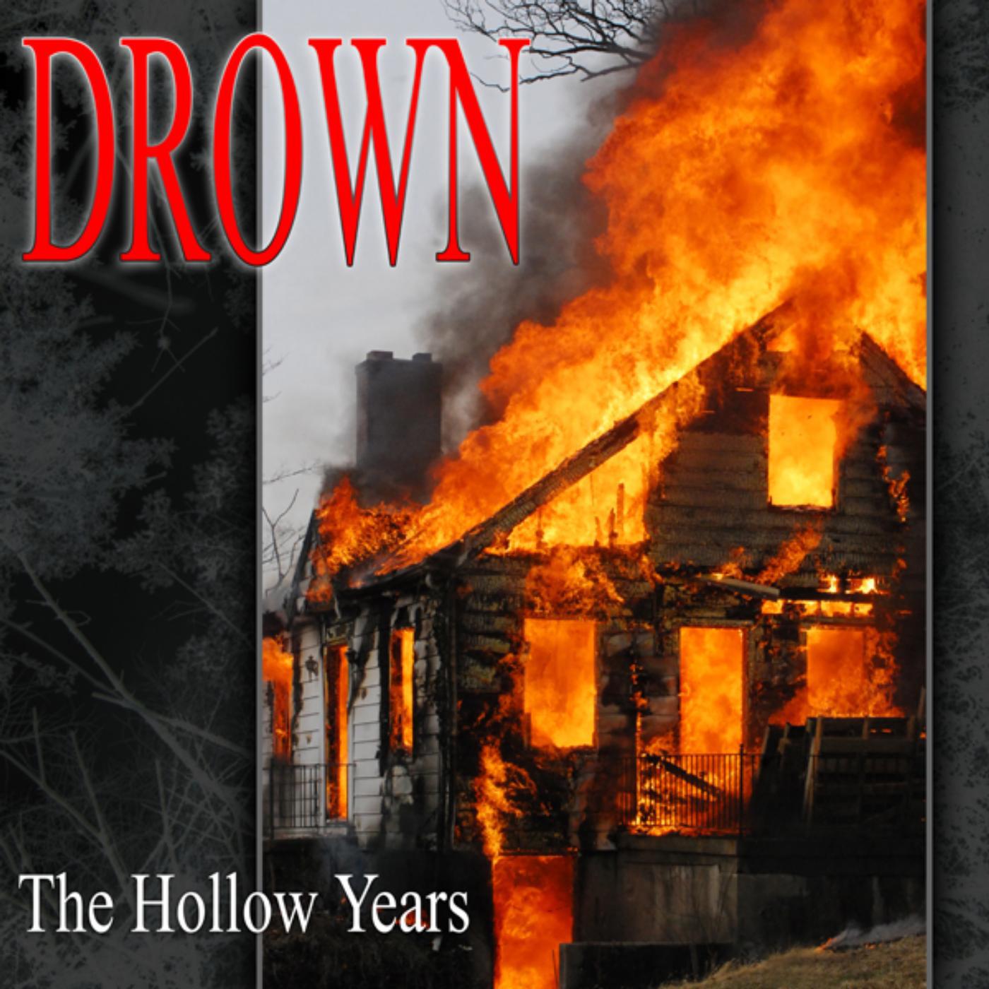 Постер альбома The Hollow Years