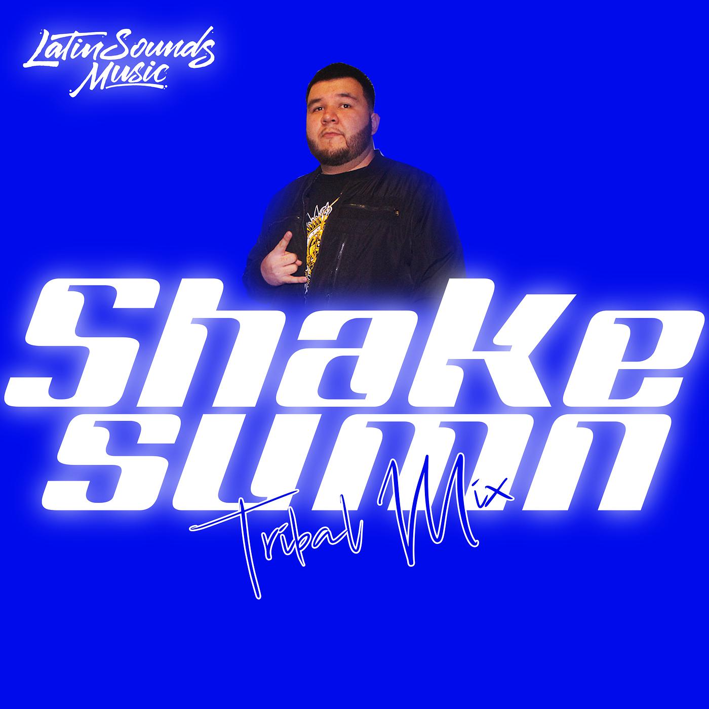 Постер альбома Shake Sumn Tribal Mix
