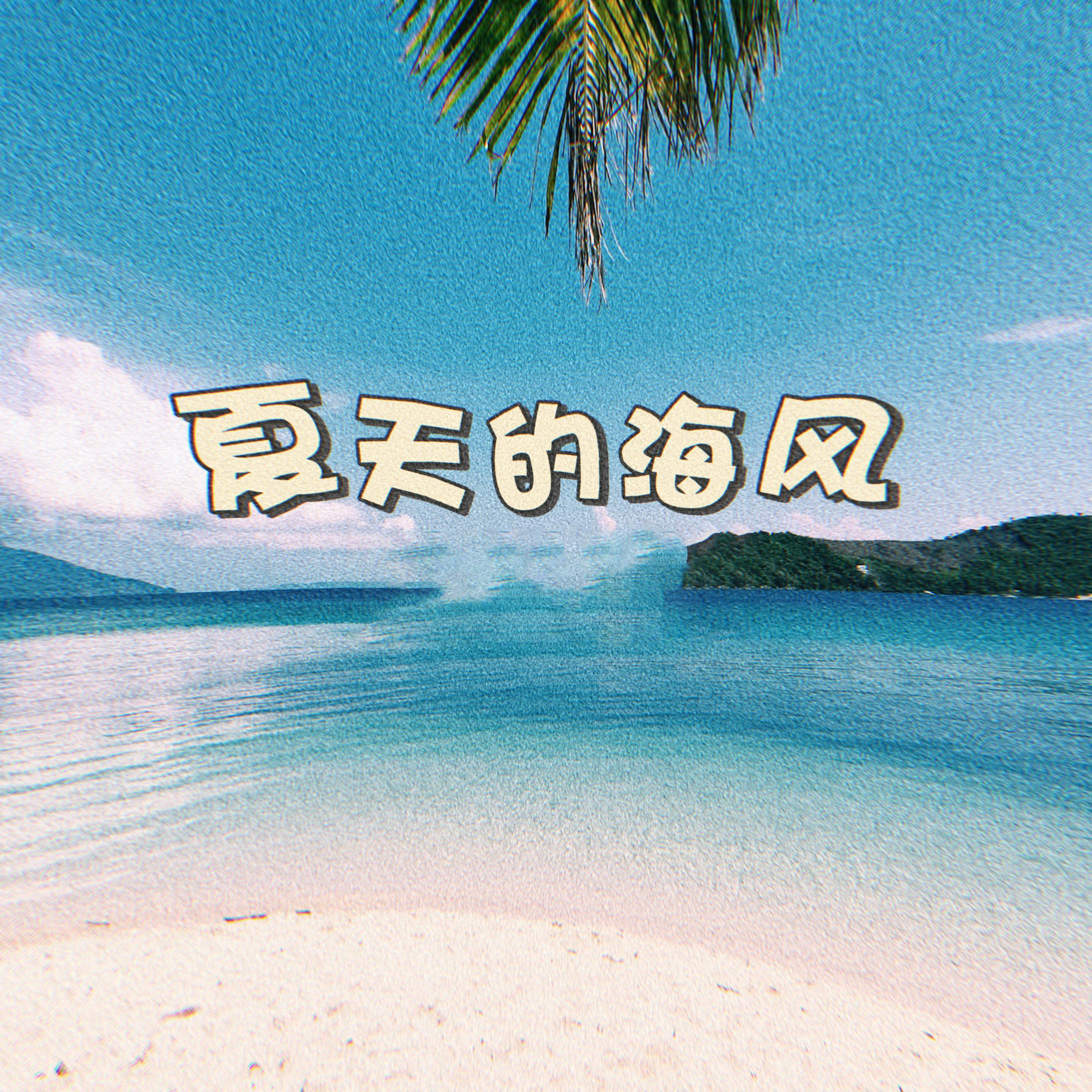 Постер альбома 夏天的海风