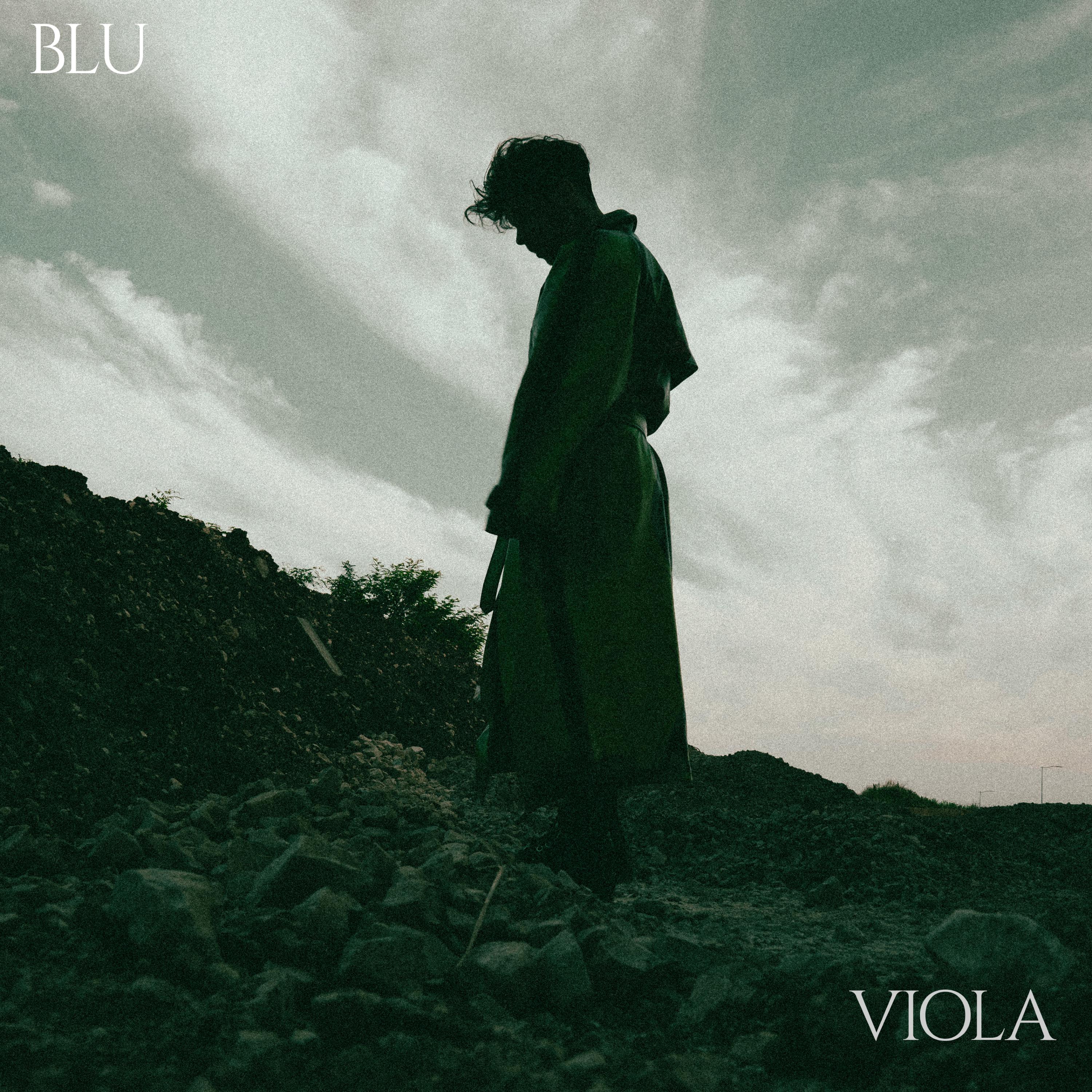 Постер альбома Blu Viola