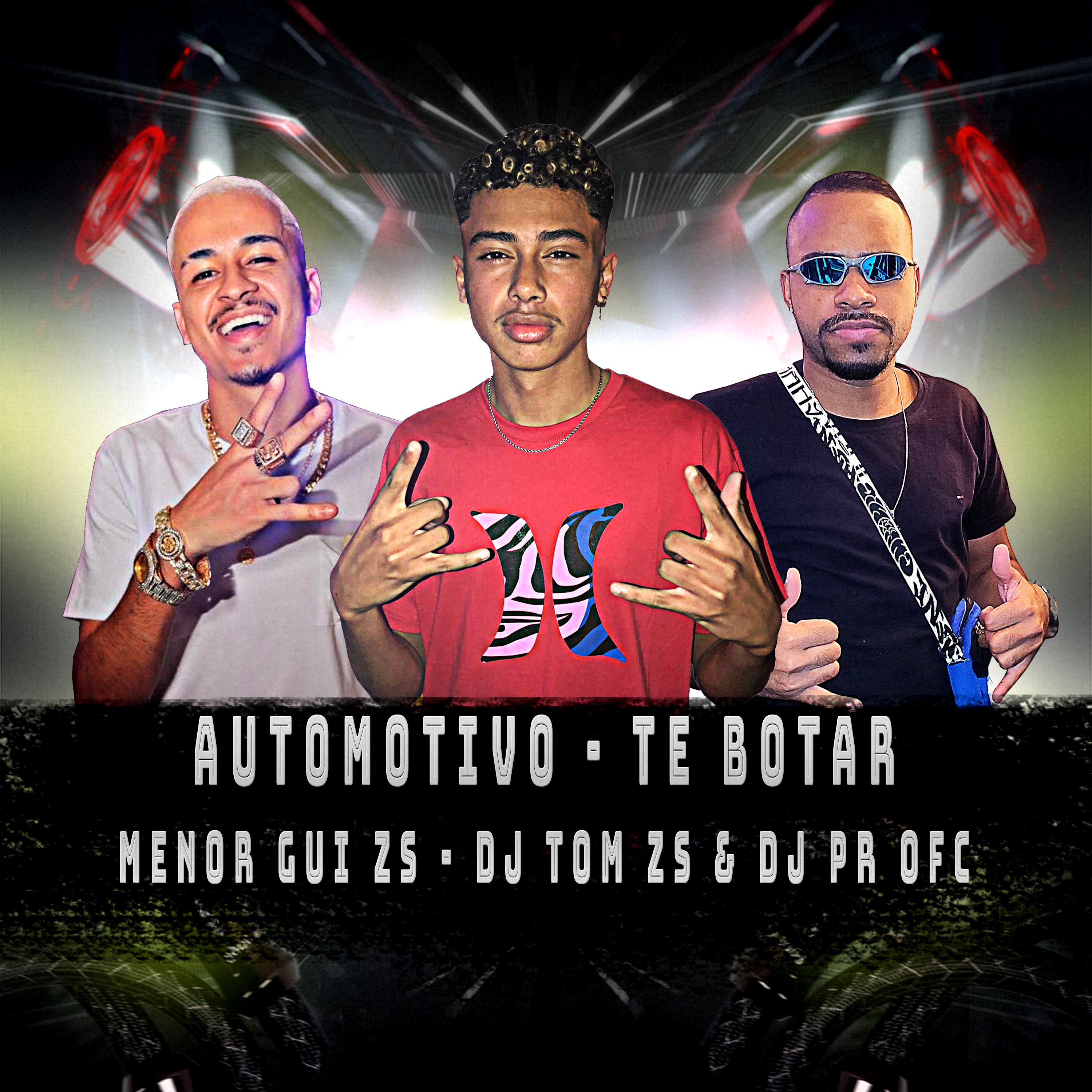 Постер альбома Automotivo - Te Botar