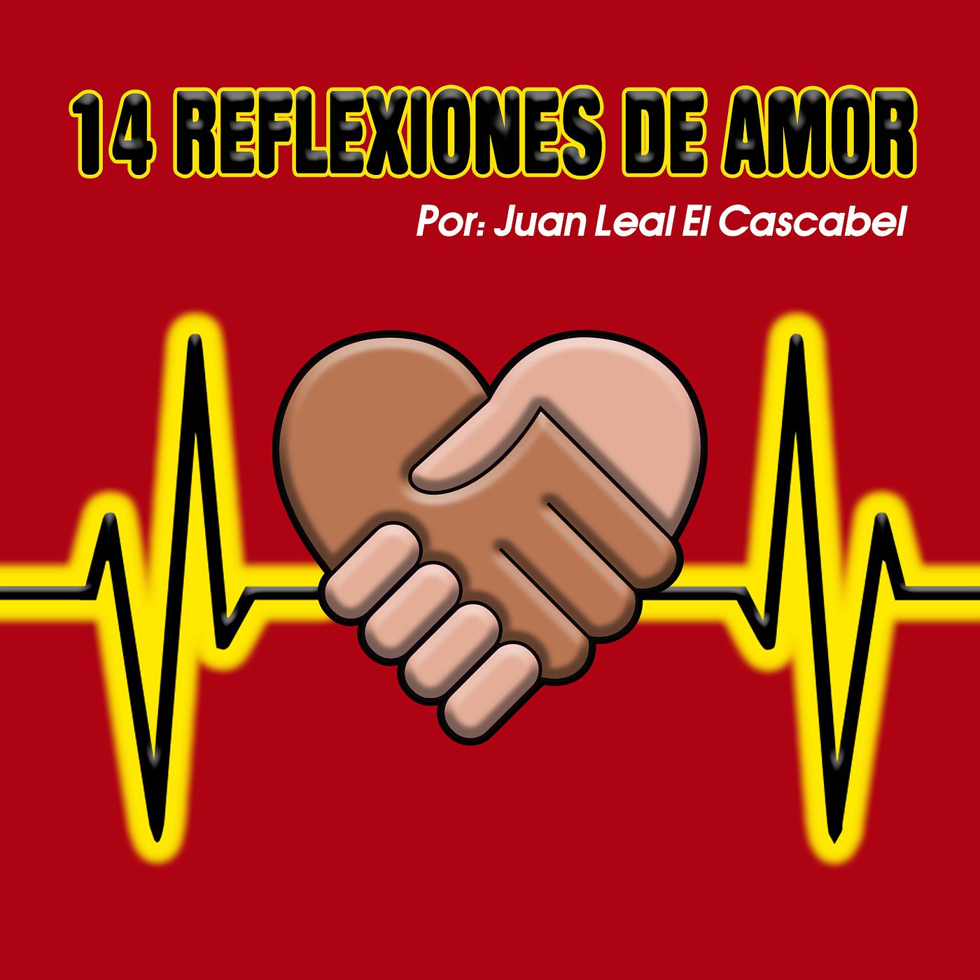 Постер альбома 14 Reflexiones De Amor