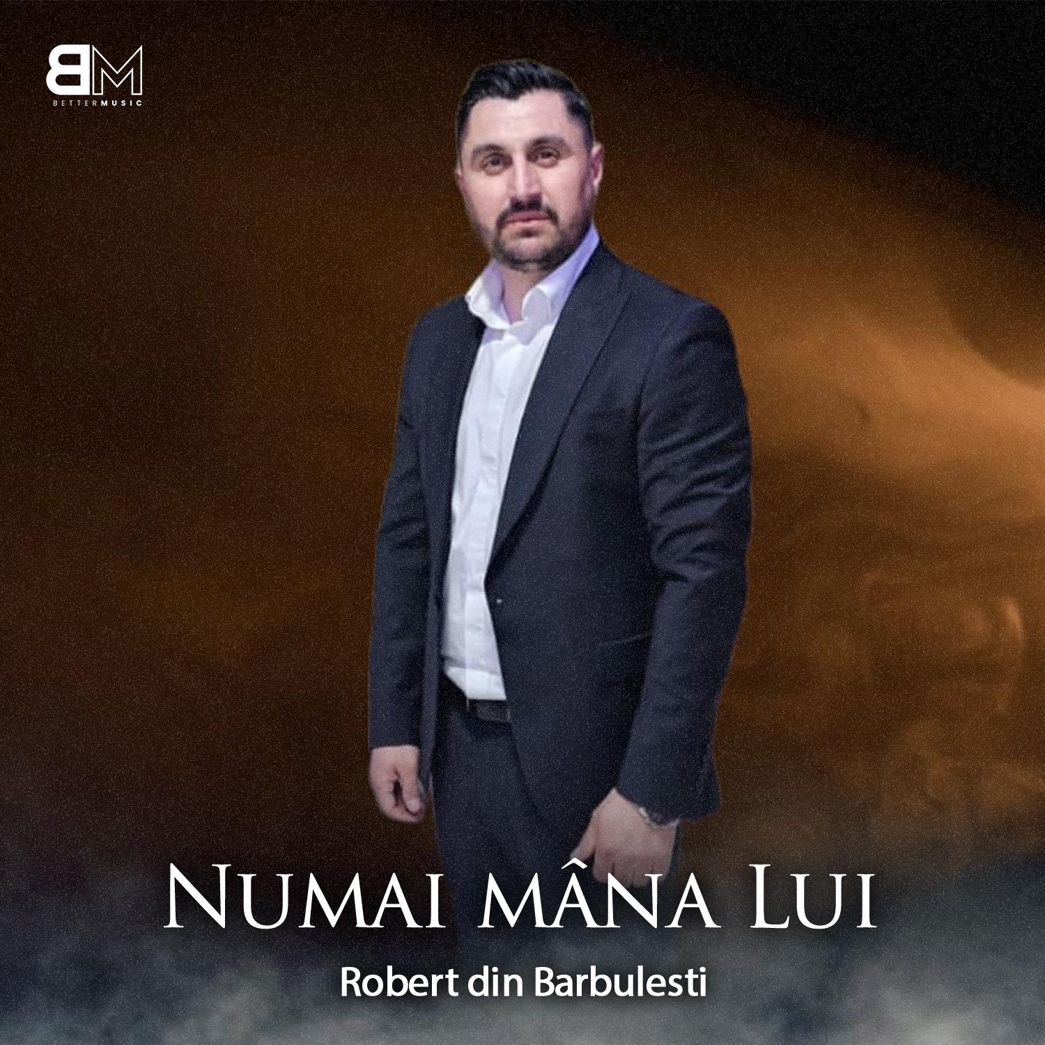 Постер альбома Numai mâna Lui