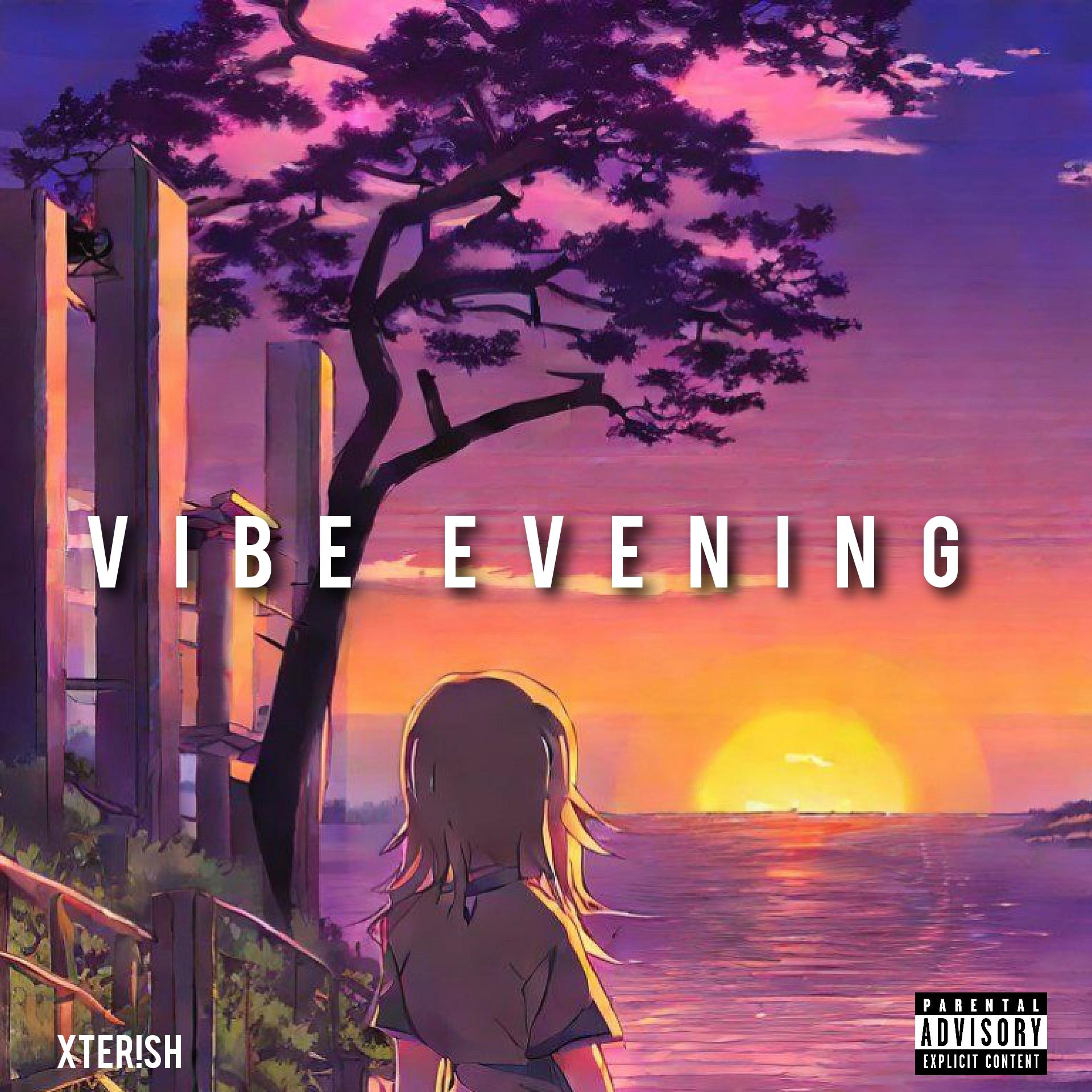 Постер альбома Vibe Evening