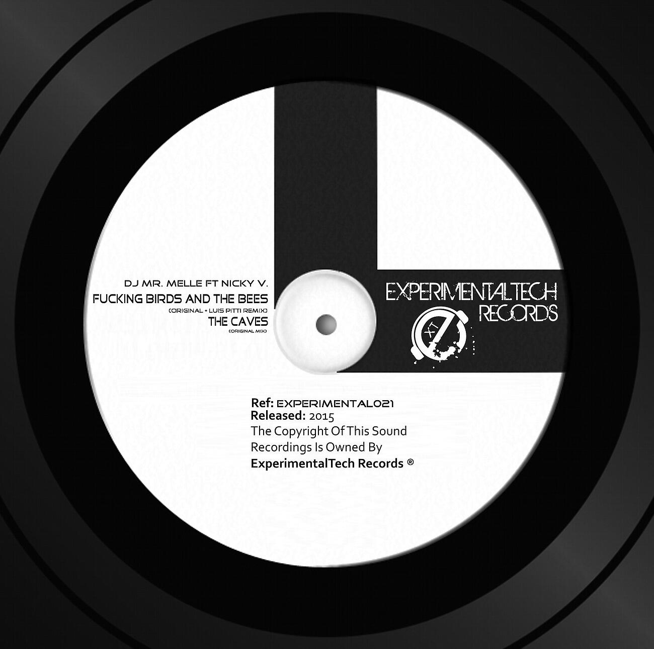 DJ Mr. Melle - Fucking Birds and the Bees (Luis Pitti Remix)