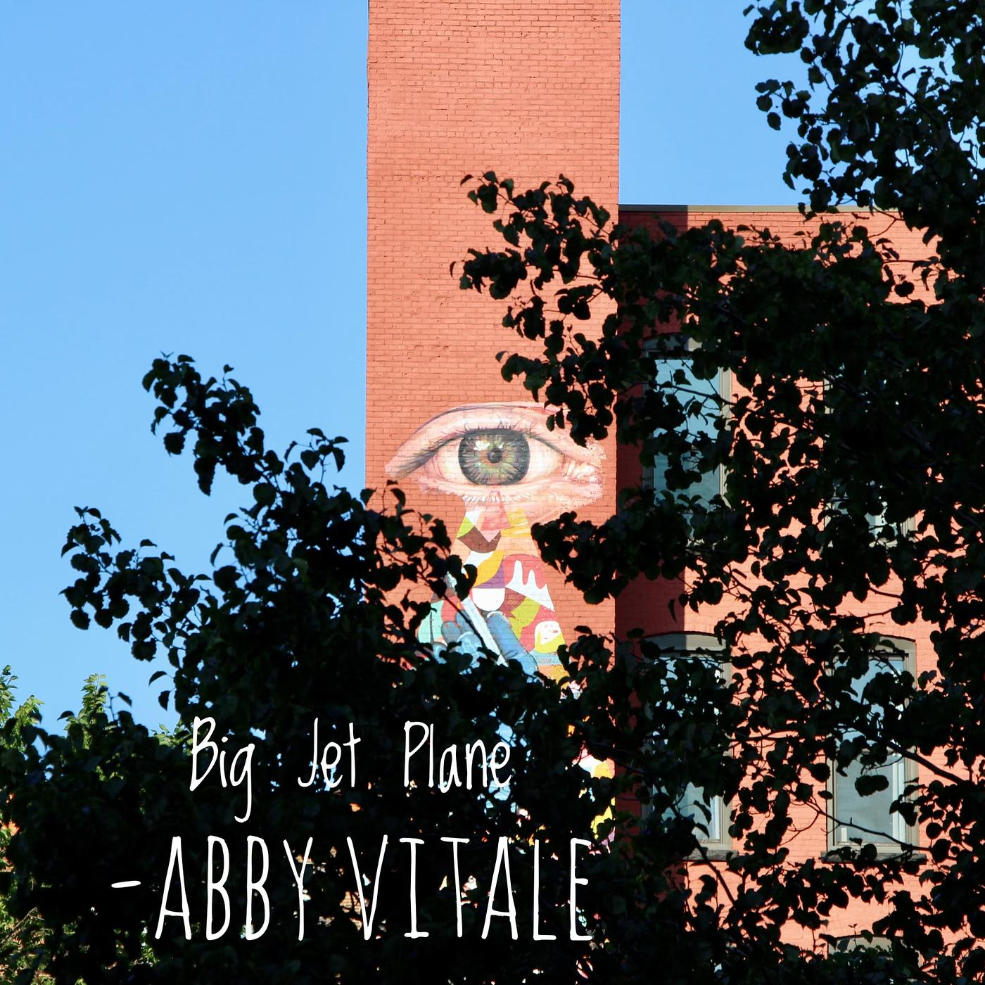 Постер альбома Big Jet Plane