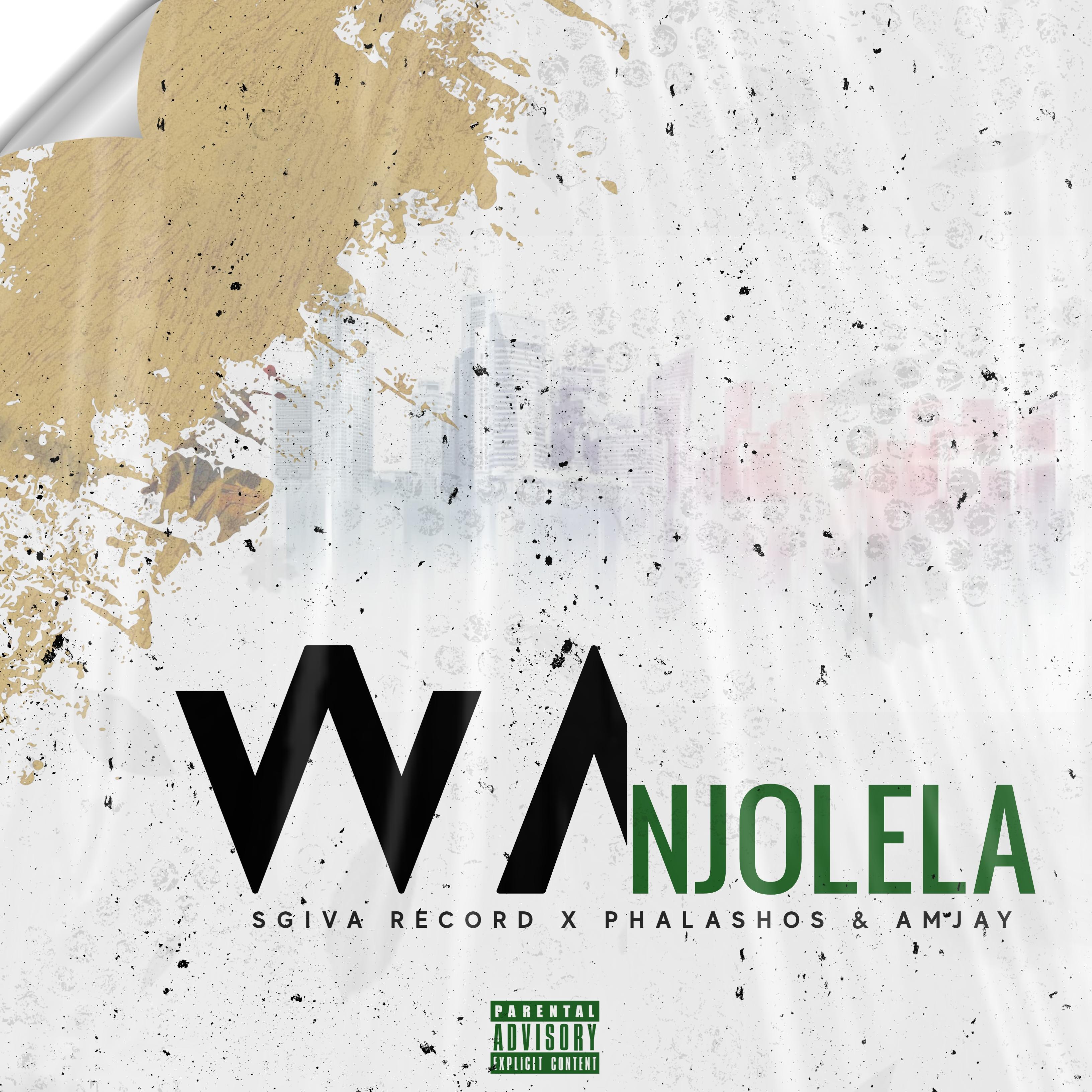 Постер альбома Wa Njolela (feat. Phalashos & Amjay)