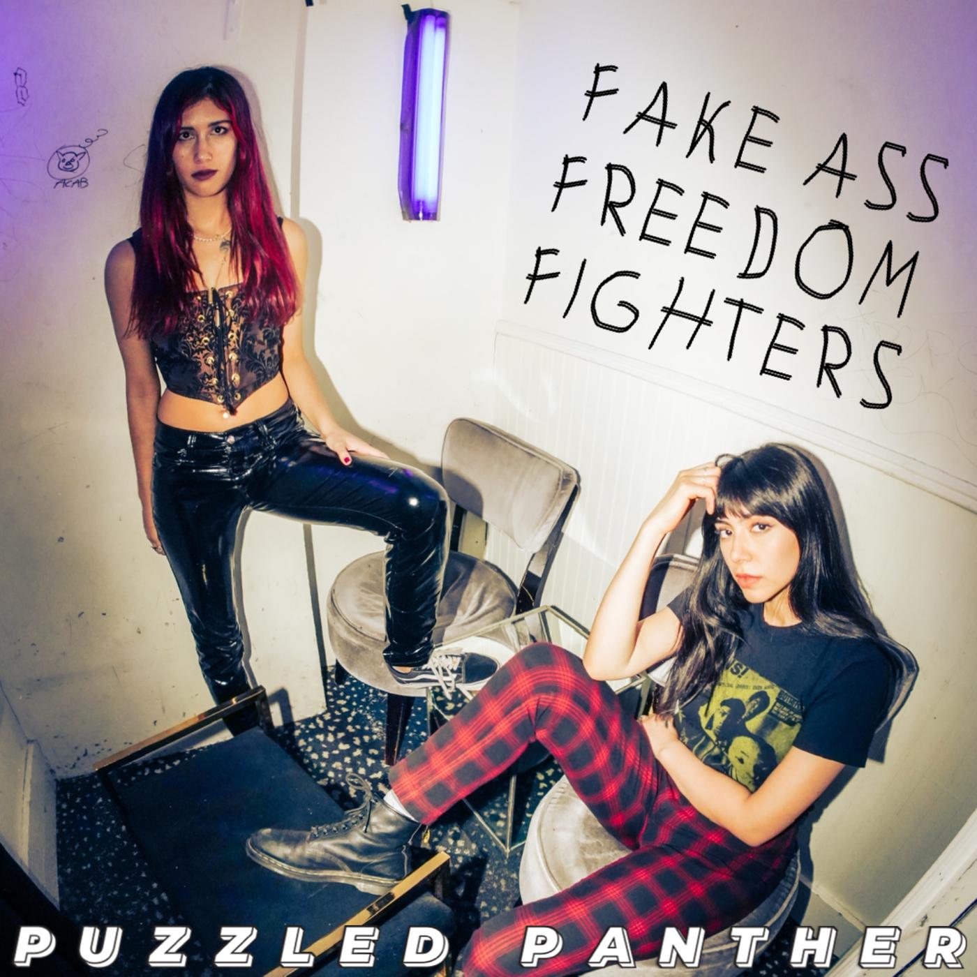 Постер альбома Fake Ass Freedom Fighters