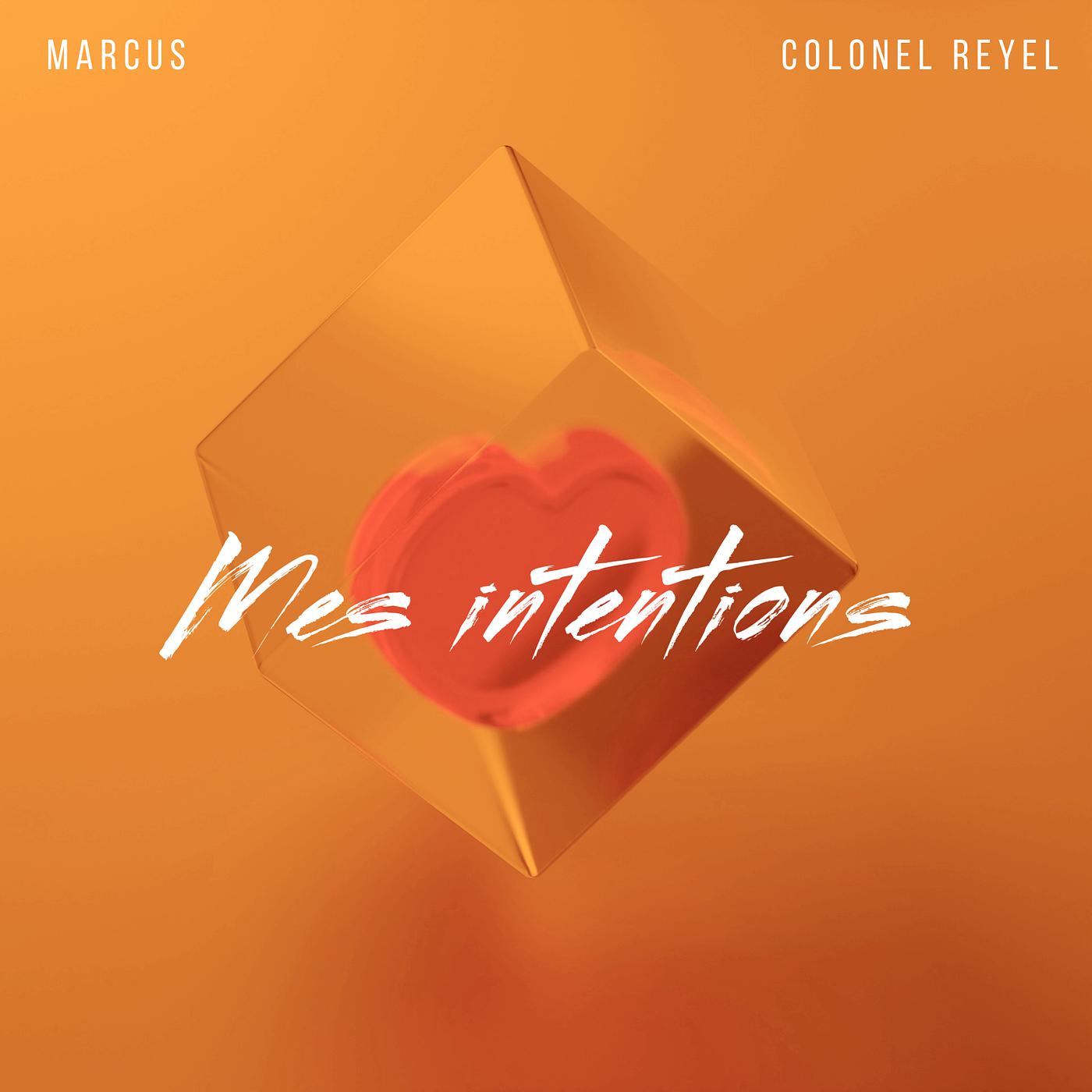 Постер альбома Mes intentions