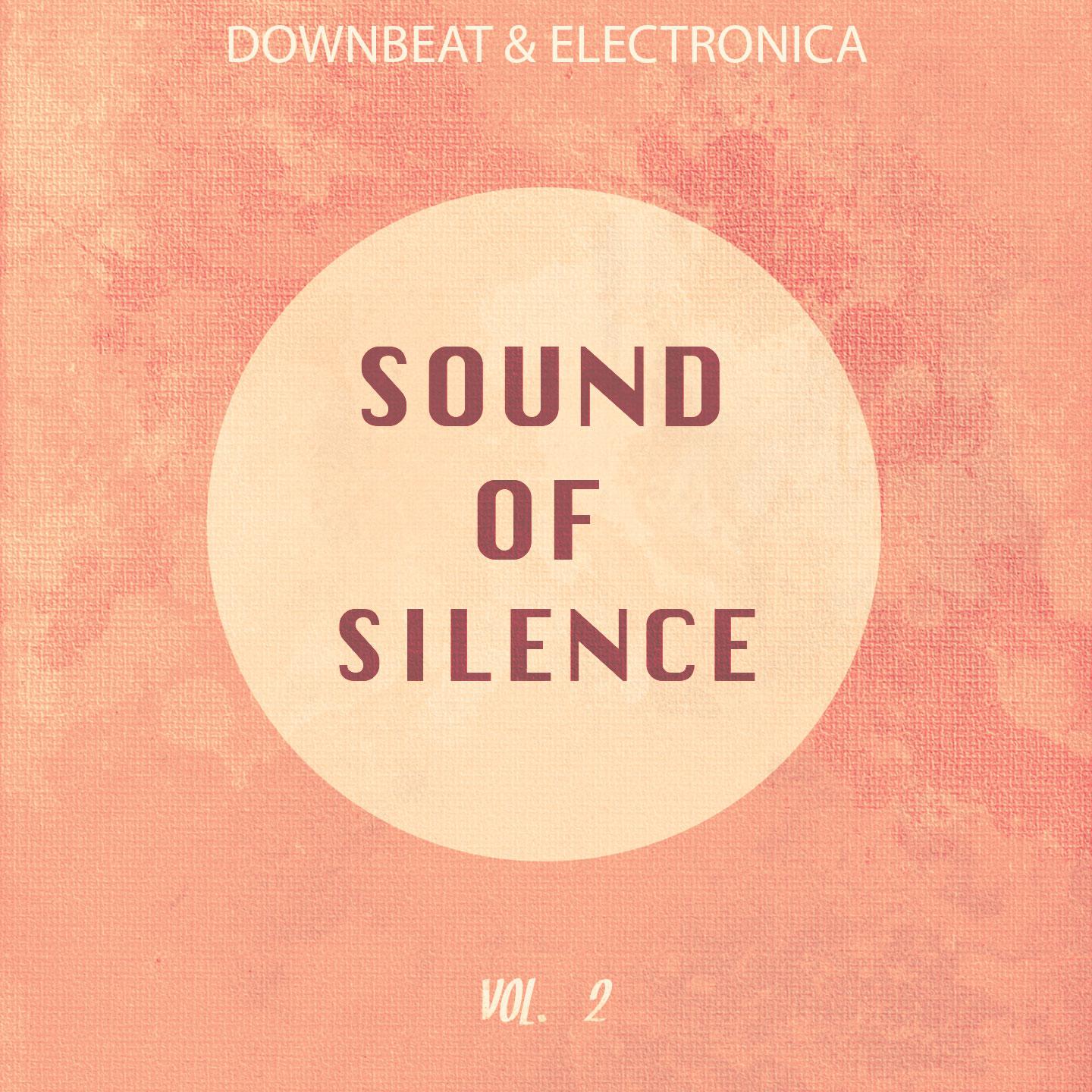 Постер альбома Sound of Silence, Vol. 2