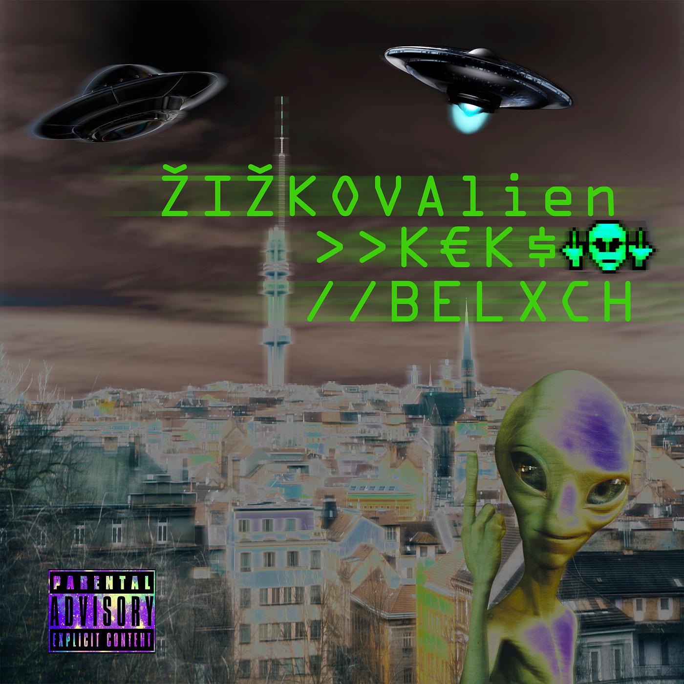 Постер альбома Žižkovalien