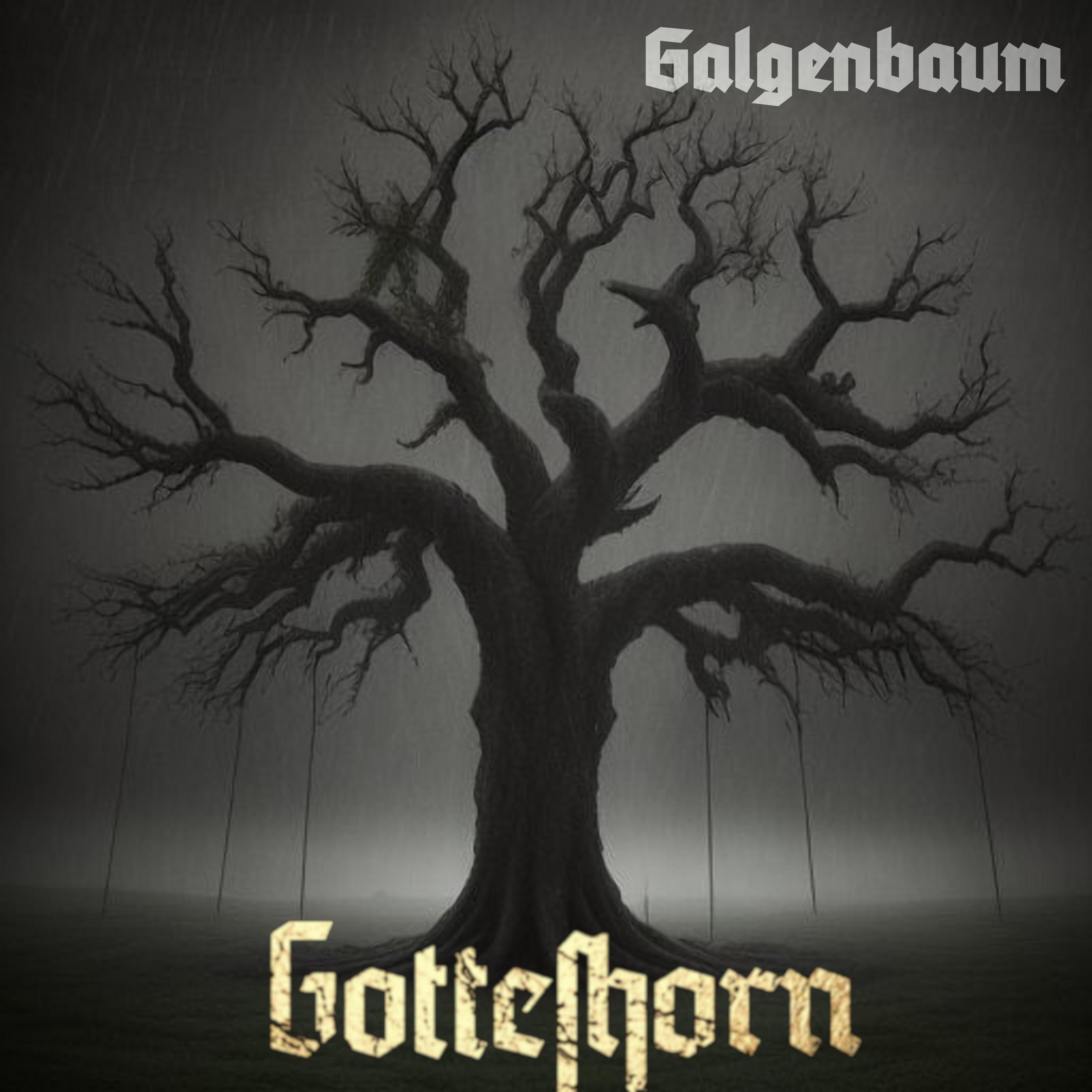Постер альбома Galgenbaum